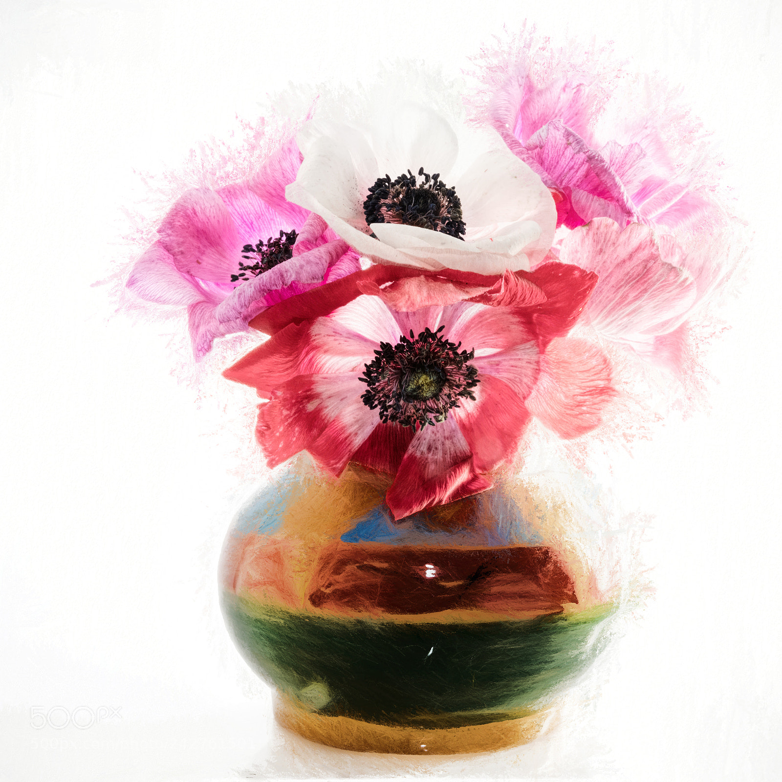 Pentax K-1 sample photo. Anemoni photography