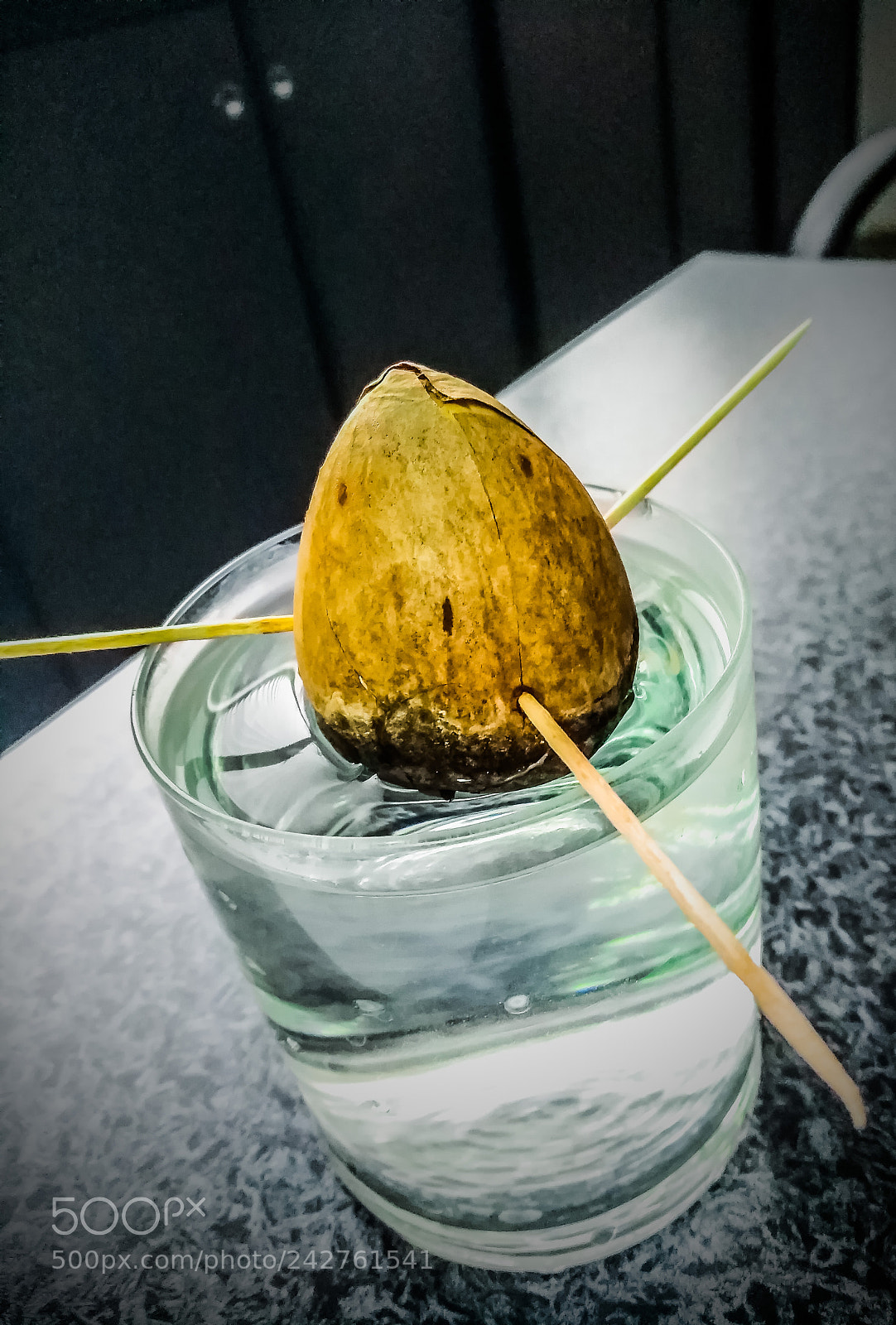HUAWEI nova sample photo. Avocado core photography