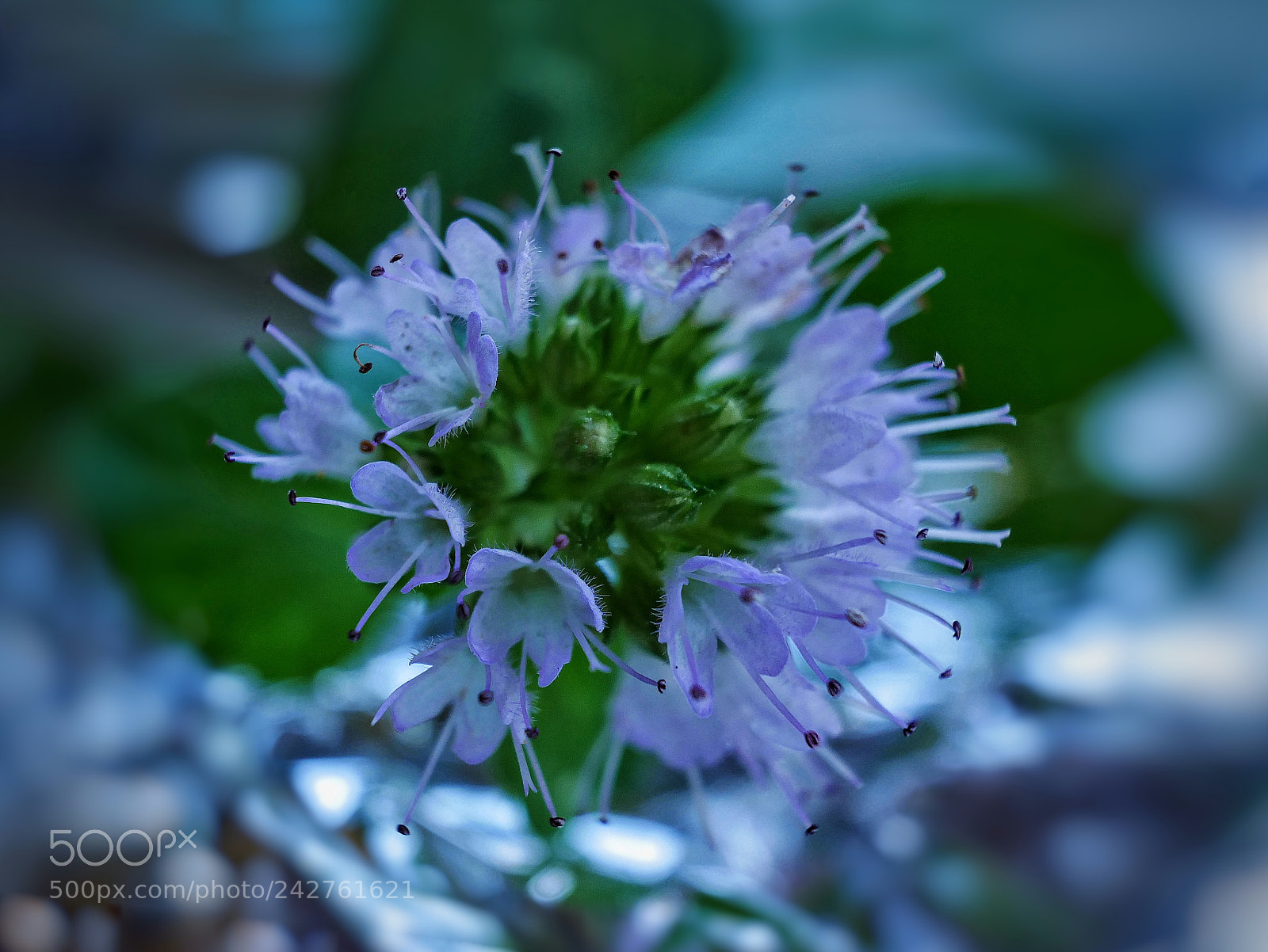 Panasonic Lumix DMC-GX85 (Lumix DMC-GX80 / Lumix DMC-GX7 Mark II) sample photo. *... photography