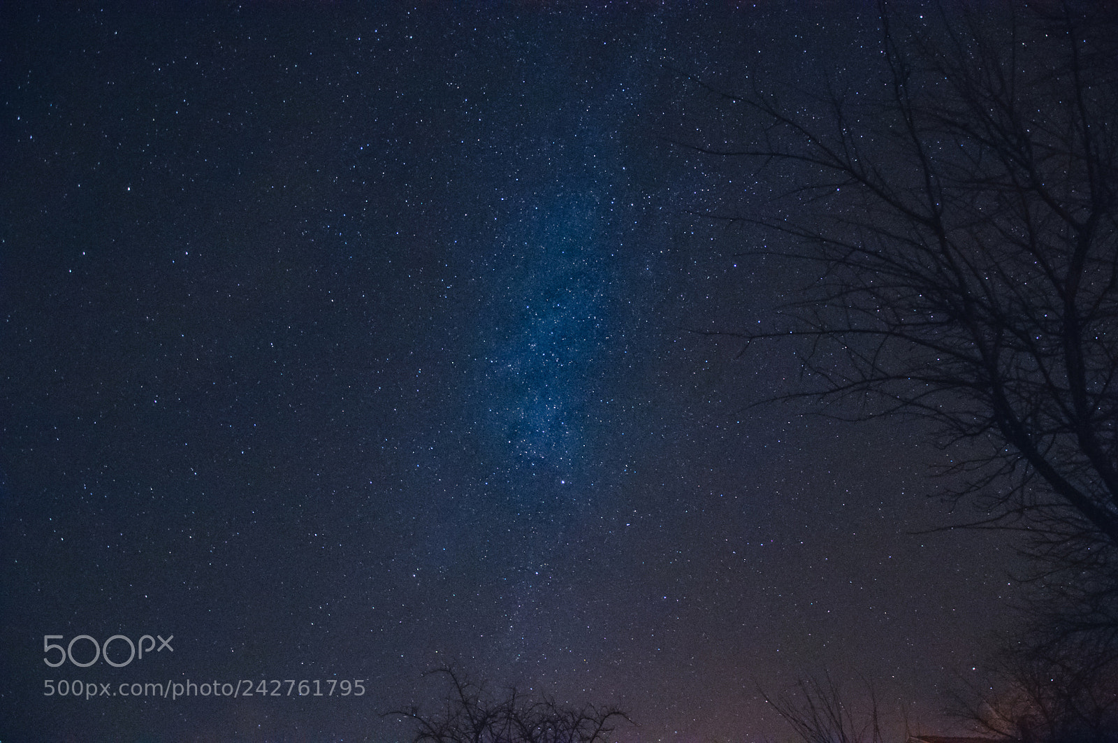Nikon D90 sample photo. Night photography