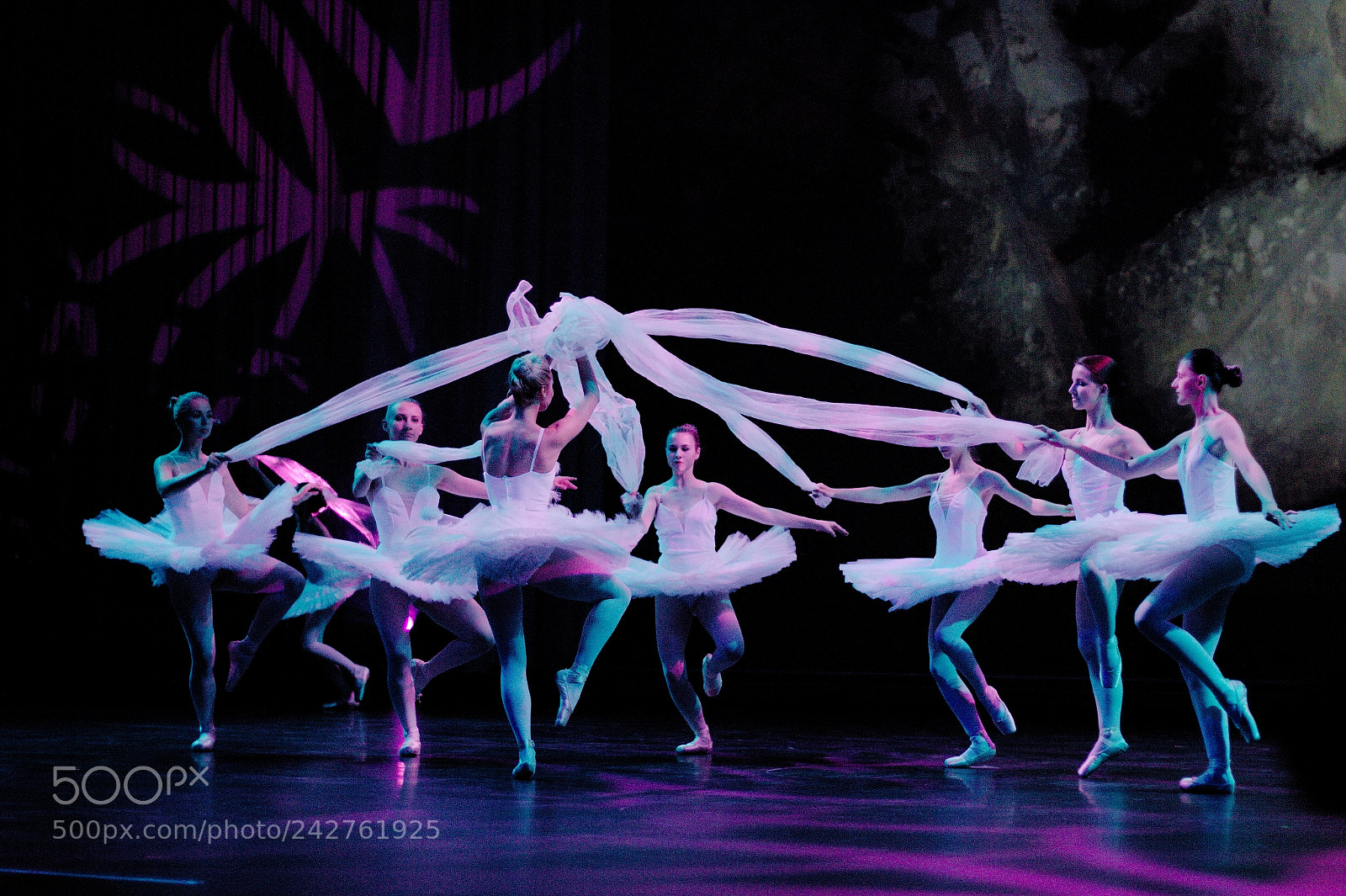 Canon EOS 550D (EOS Rebel T2i / EOS Kiss X4) sample photo. Dark ballet act photography