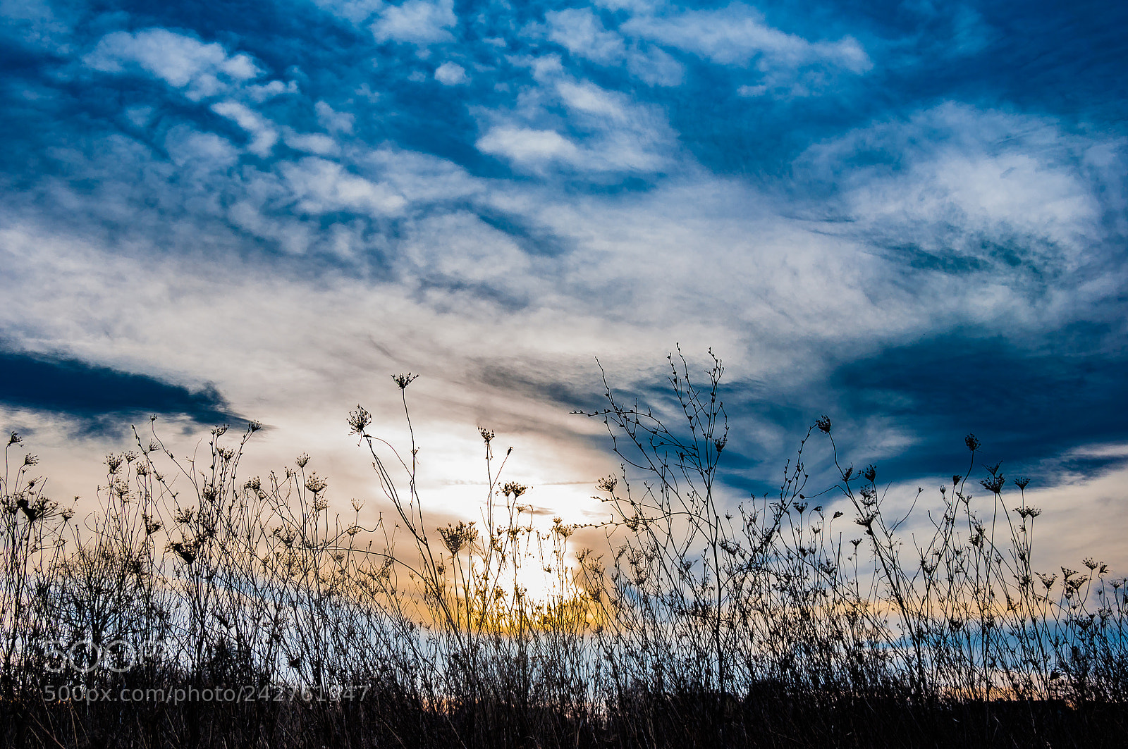 Nikon D90 sample photo. Sky photography