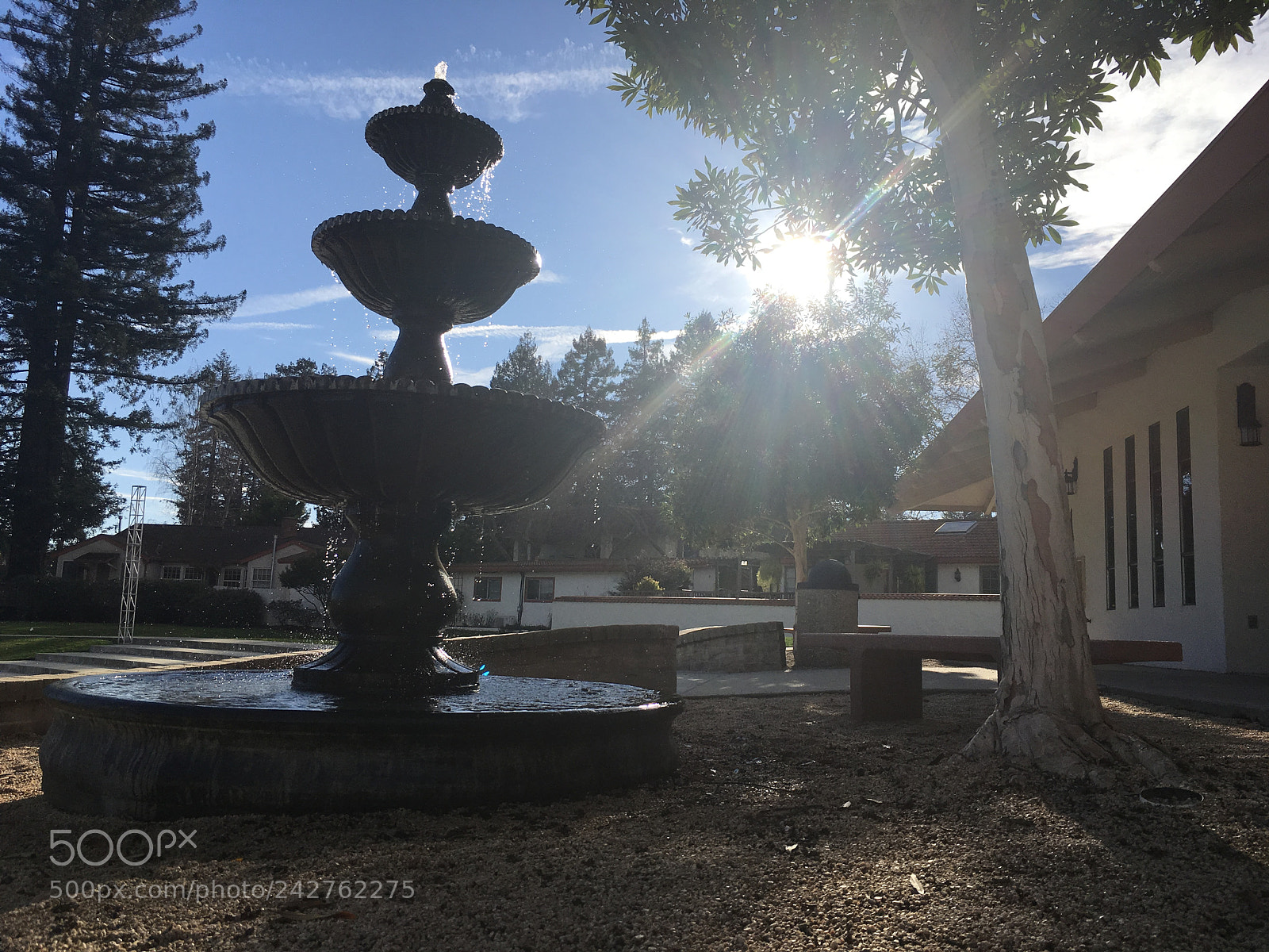 Apple iPad Pro sample photo. Untitled photography