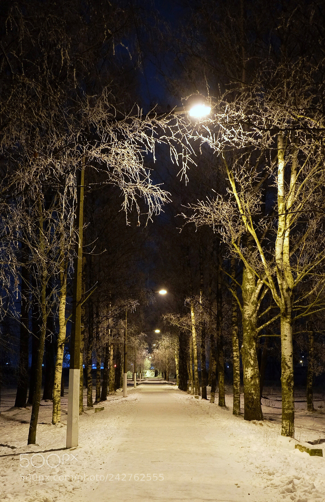 Fujifilm X-T10 sample photo. Аллея photography