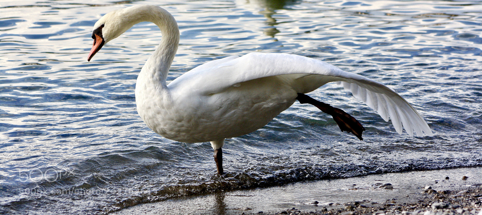 Canon EOS 1000D (EOS Digital Rebel XS / EOS Kiss F) sample photo. Cold water photography