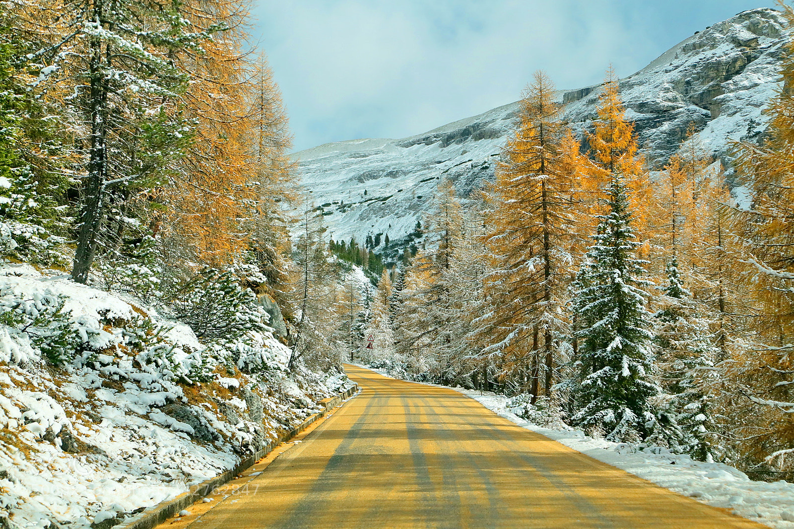 Canon EOS 6D + Canon EF 24-105mm F4L IS USM sample photo. Yellow road photography