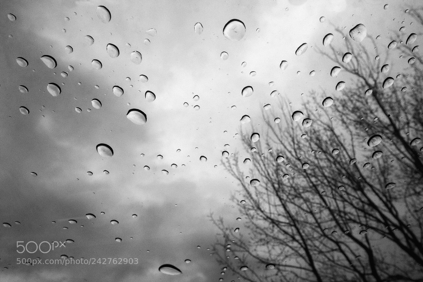 Fujifilm X-T2 sample photo. Rainy day photography