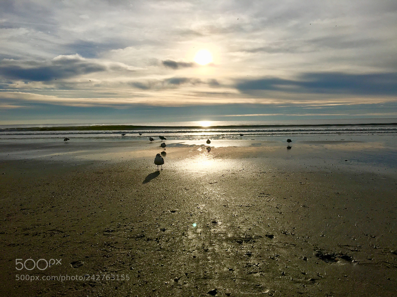 Apple iPhone 6s Plus sample photo. Myrtle beach on a photography