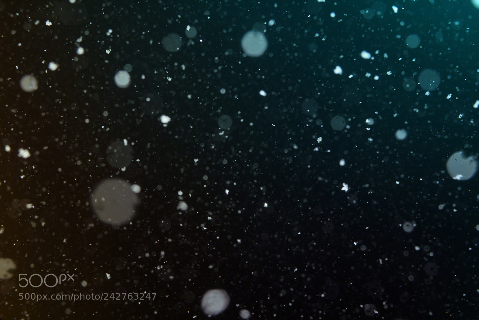 Sony a7R sample photo. Snow dust background photography