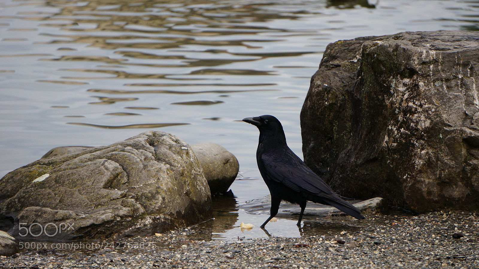 Sony Alpha NEX-6 sample photo. Dsc photography