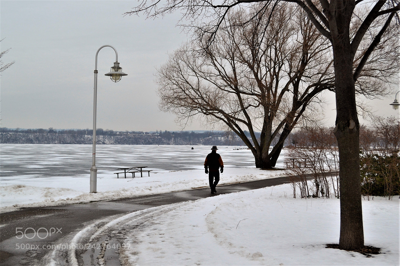 Nikon D3100 sample photo. Winter walk photography