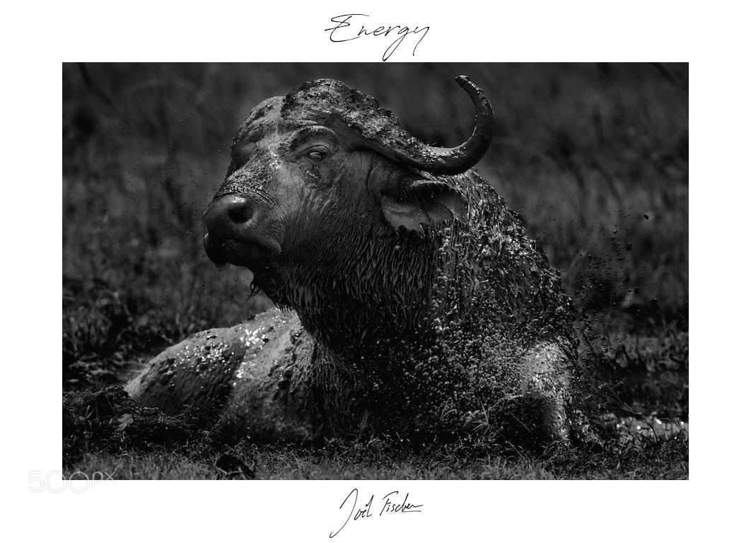 Canon EOS-1D Mark IV sample photo. Energy photography