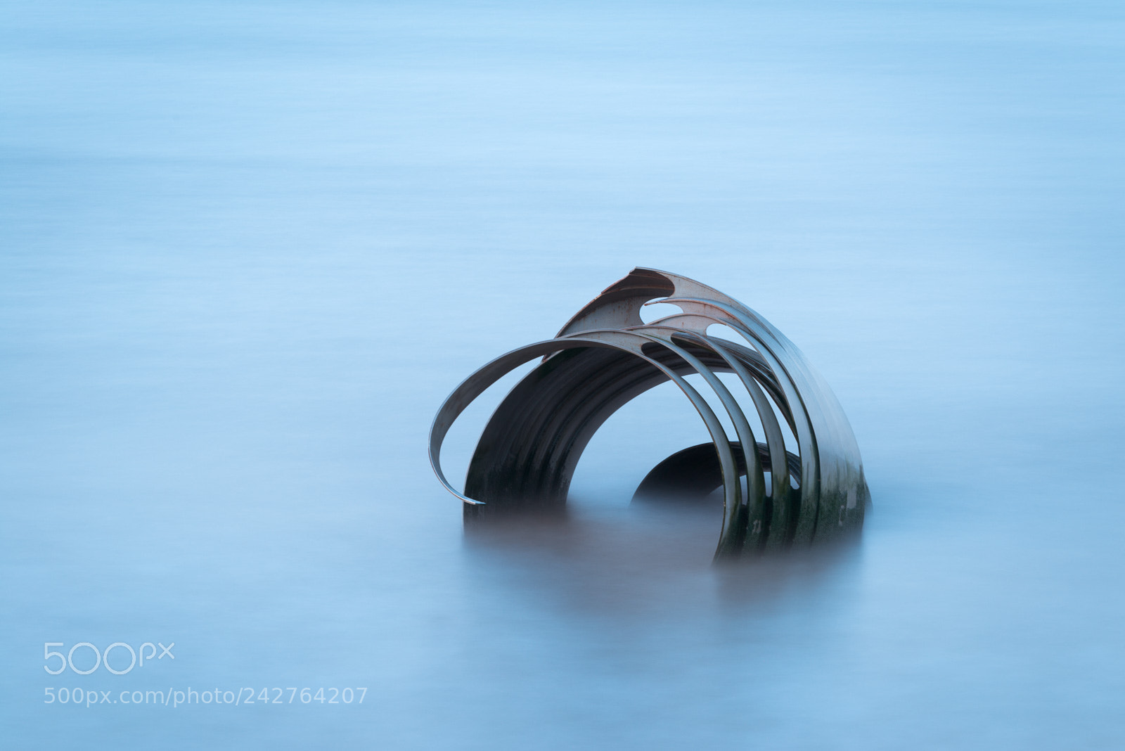 Nikon D800 sample photo. Mary's shell photography