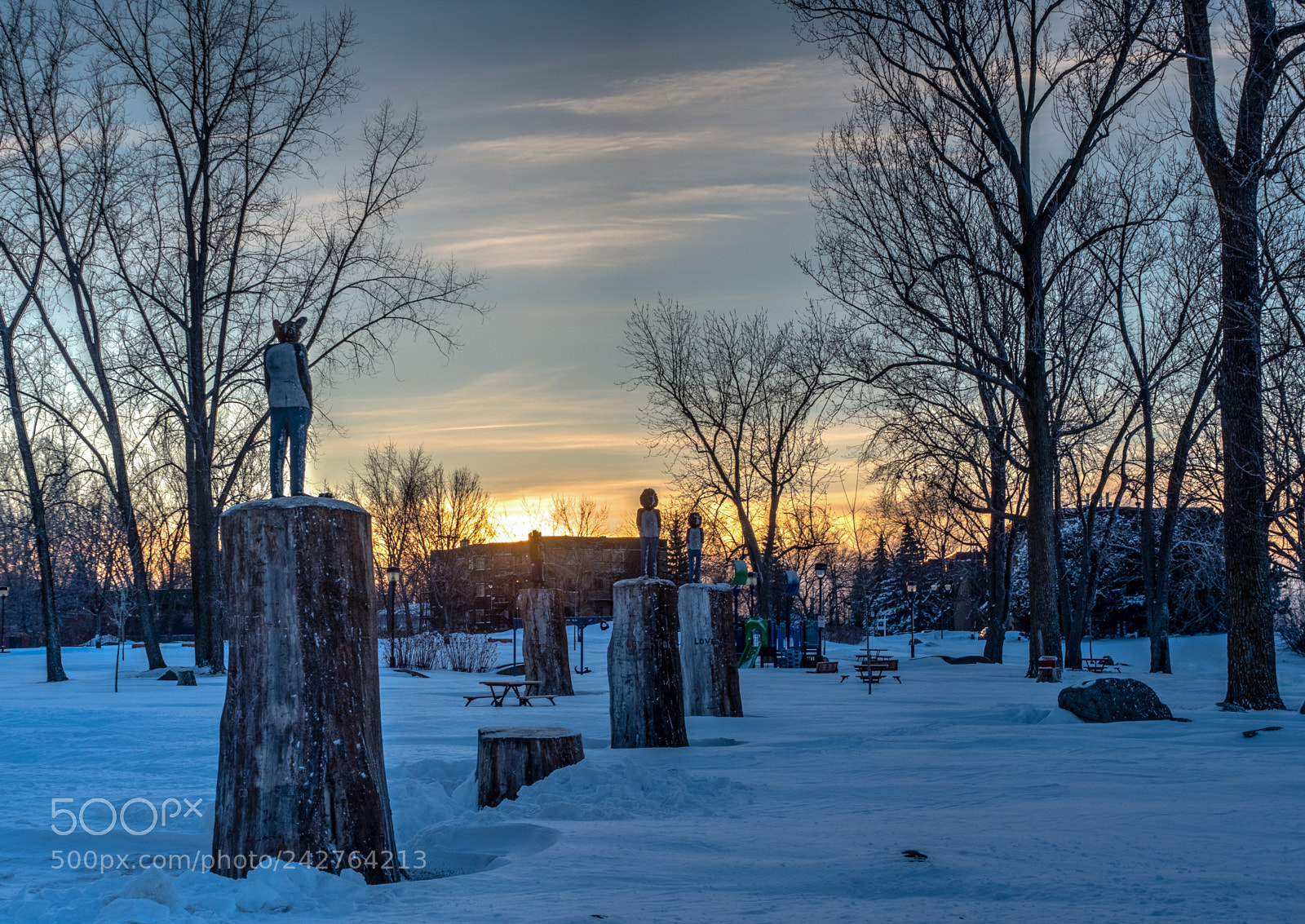 Olympus OM-D E-M5 II sample photo. Cold day on the photography