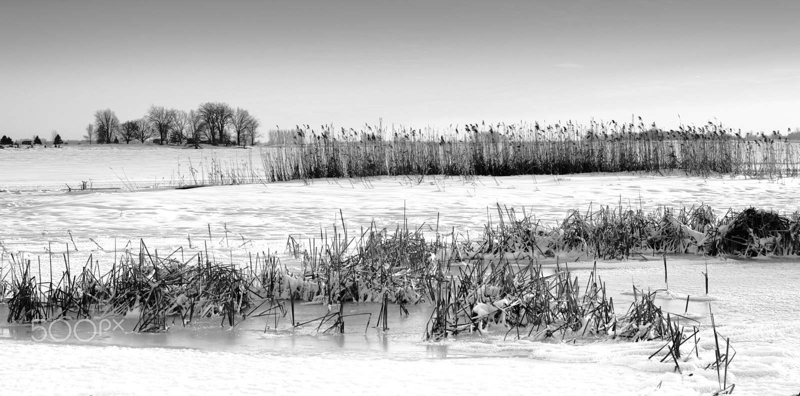 Olympus OM-D E-M5 II sample photo. Cold day on the photography