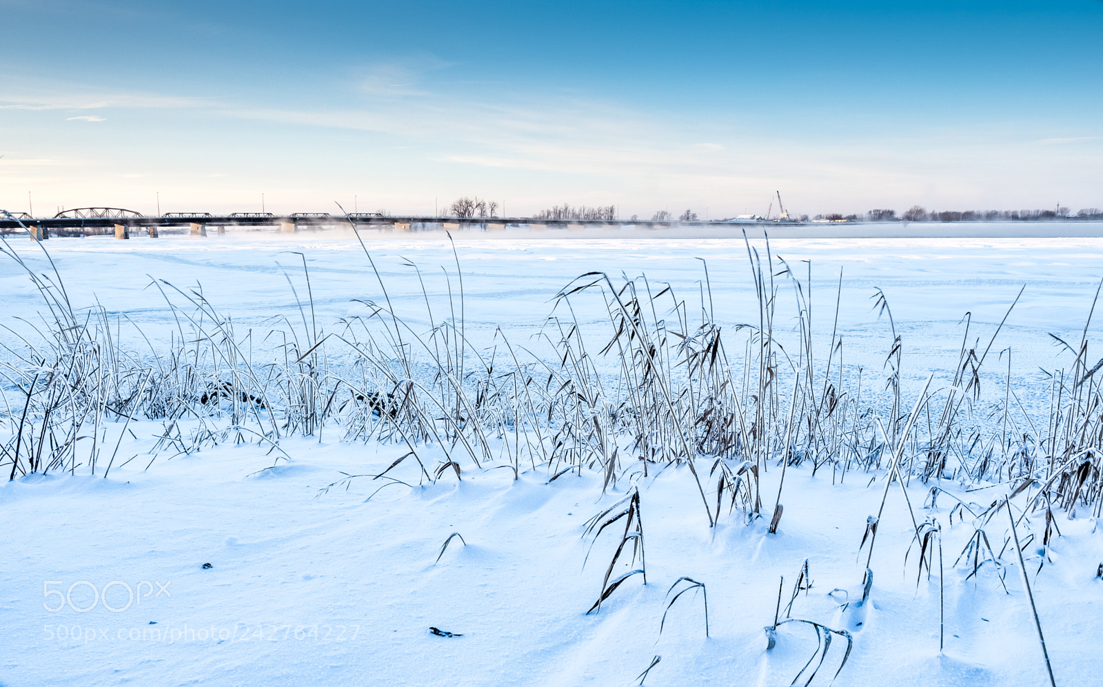 Olympus OM-D E-M5 II sample photo. Cold day on the photography