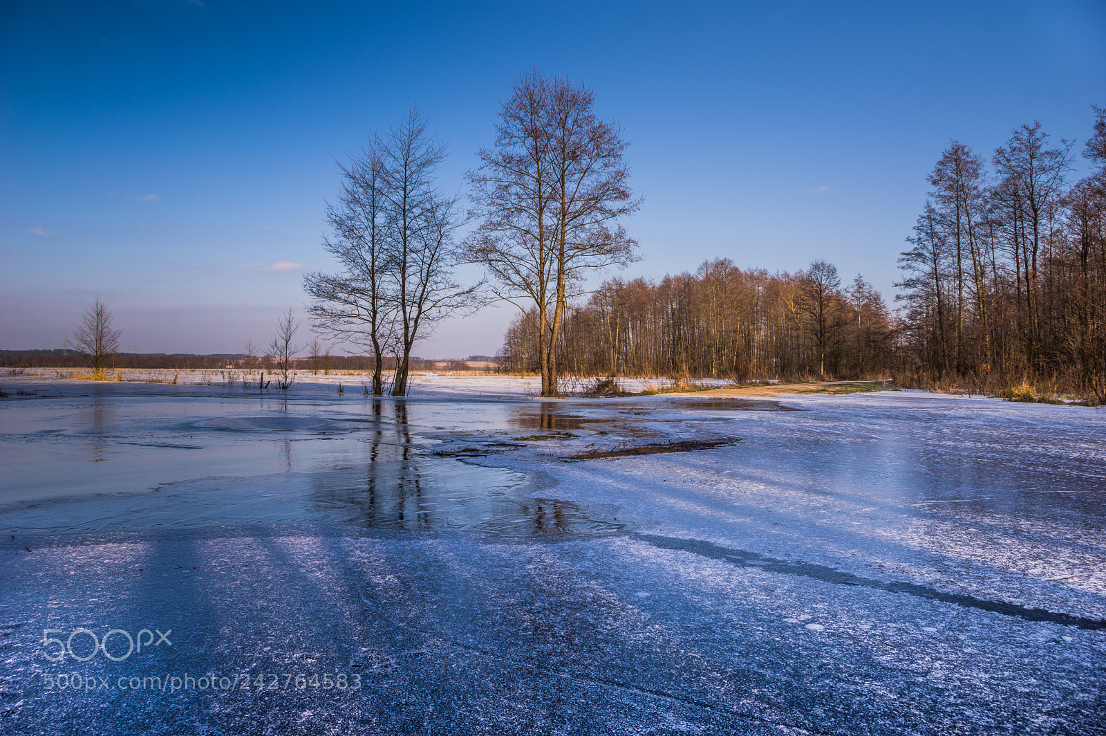 Pentax K-3 II sample photo. Getting frozen photography