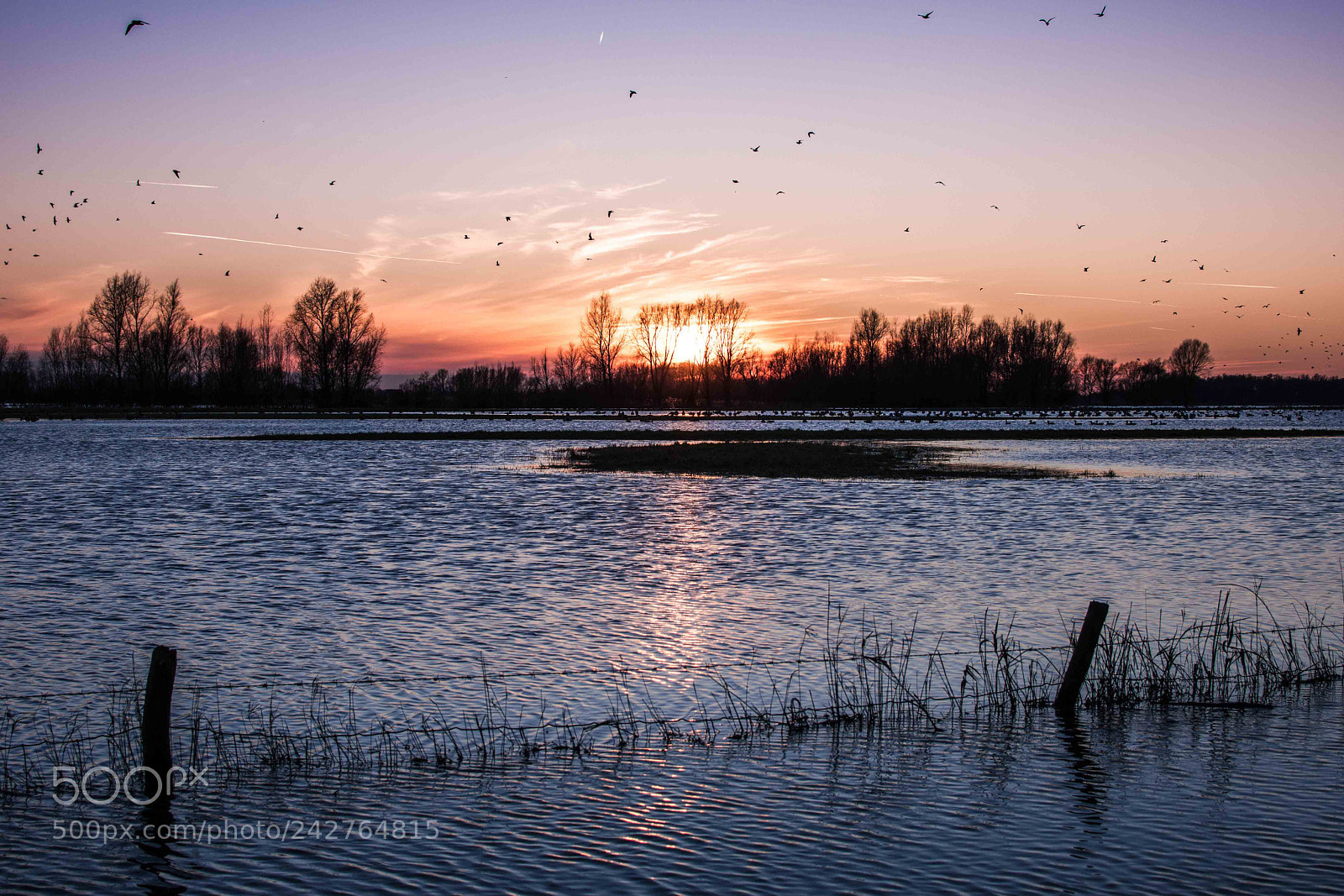 Nikon D7500 sample photo. Flooded floodplain, holland photography