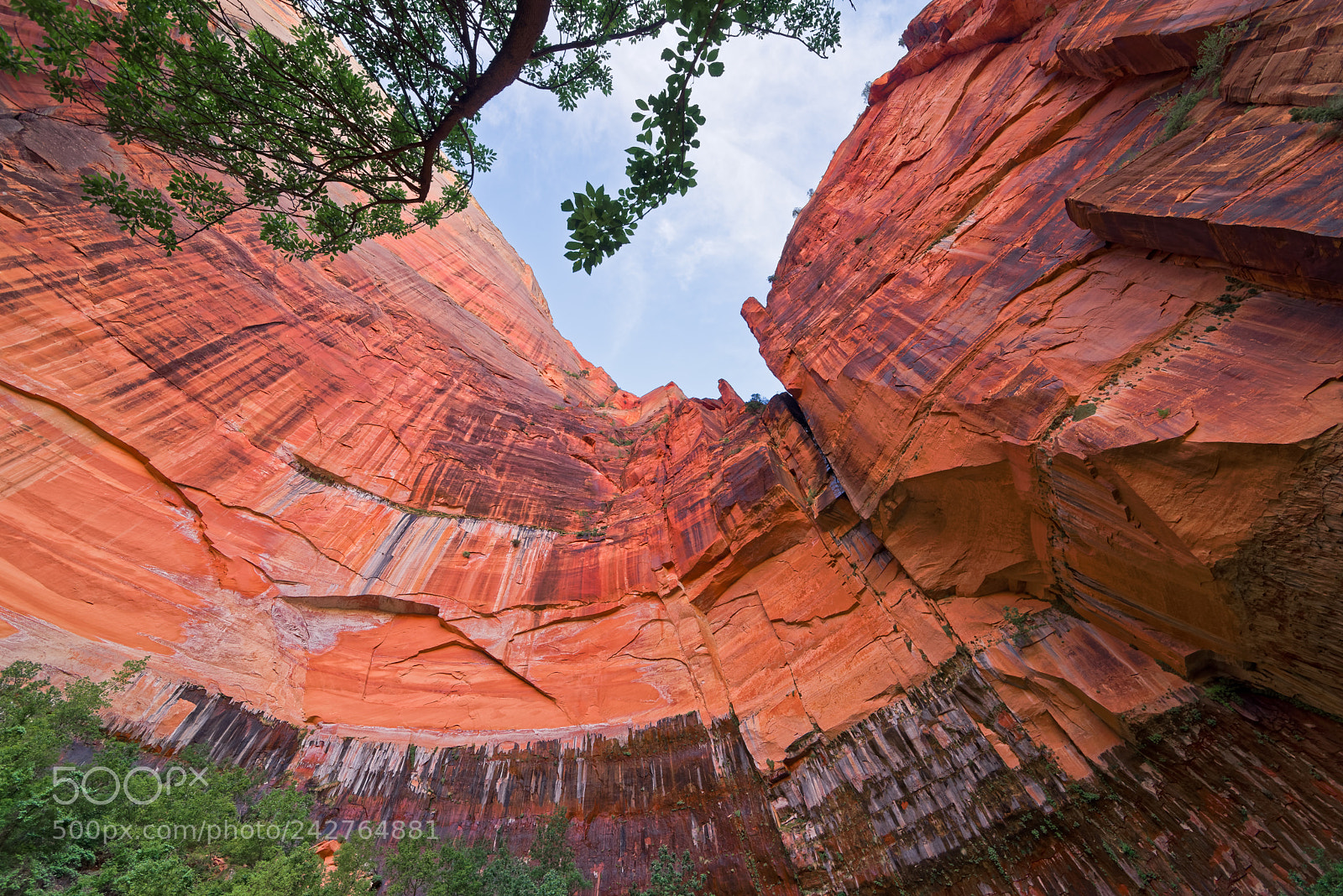 Nikon D800 sample photo. Canyons in the state photography