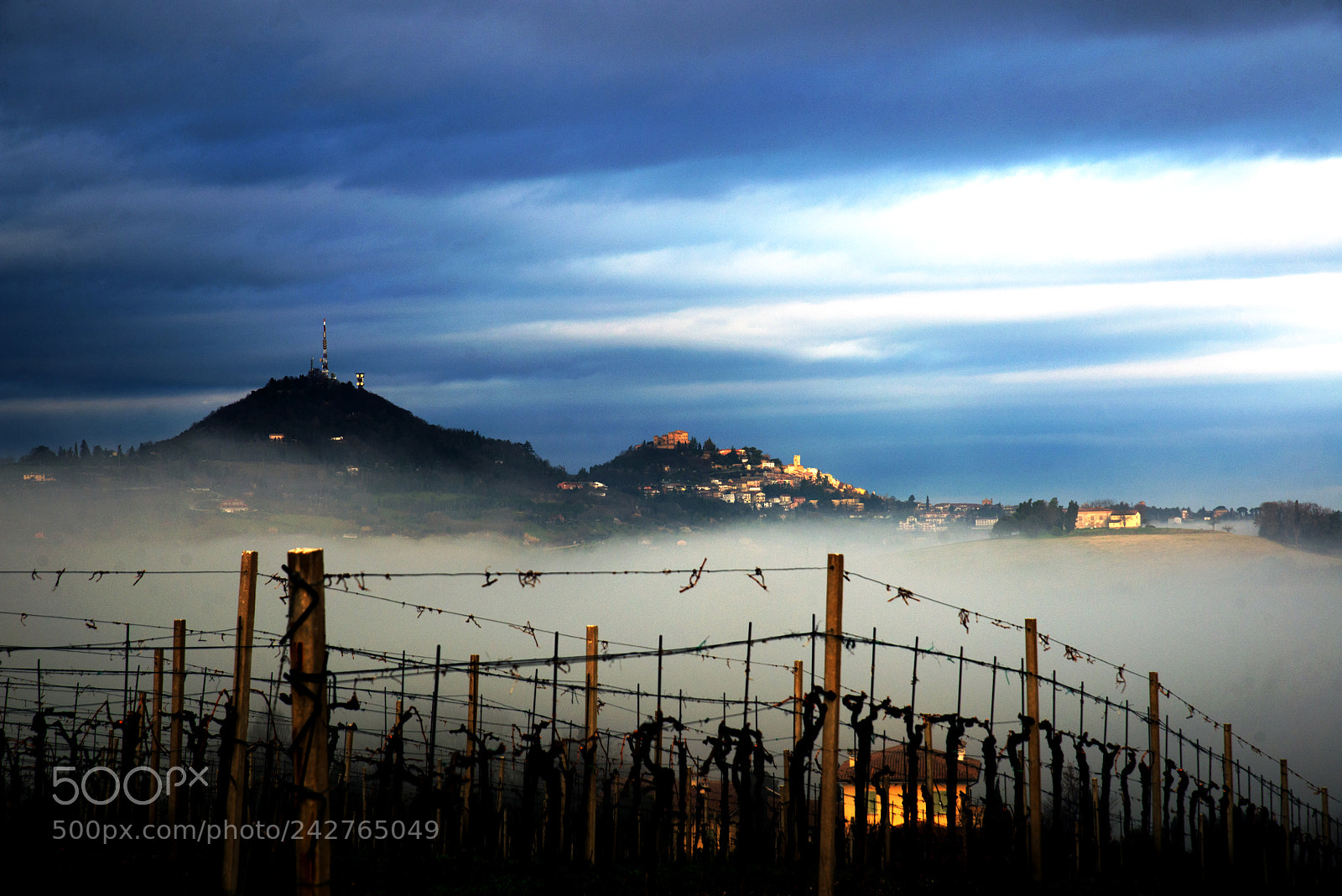 Nikon D610 sample photo. La bella bertinoro photography