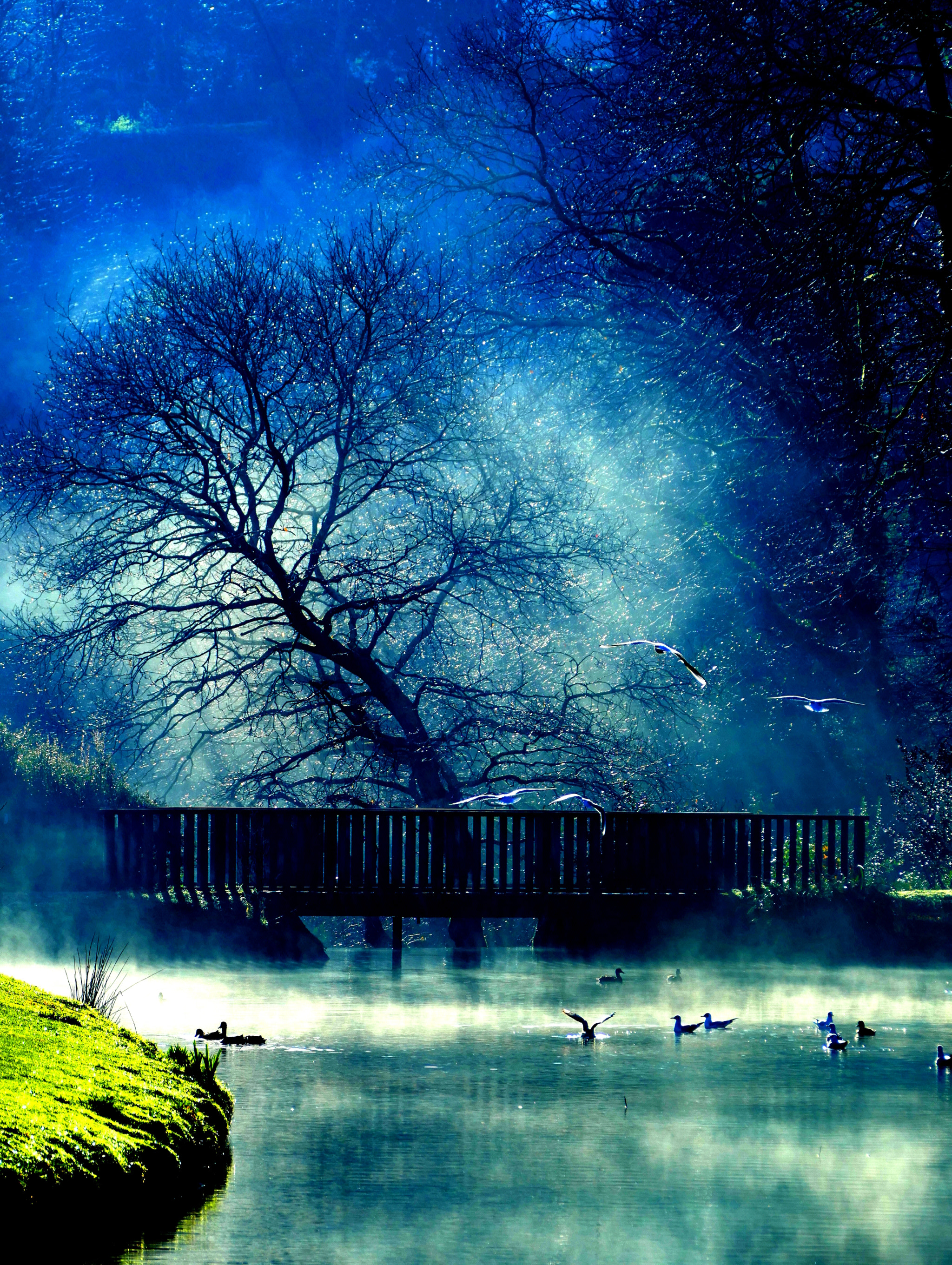 Panasonic PHOTOfunSTUDIO 9.5 PE sample photo. Matin brumeux photography