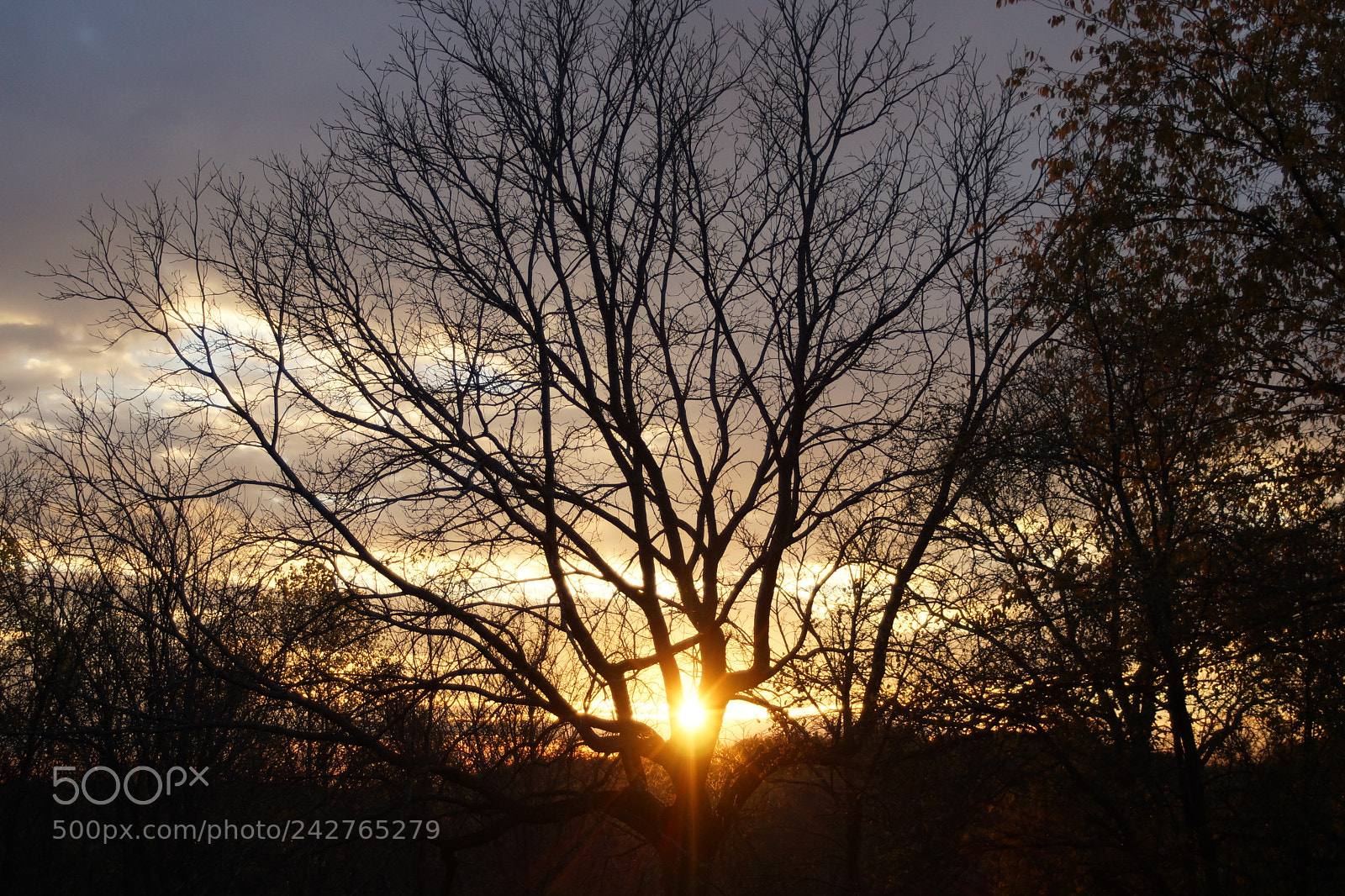Sony SLT-A77 sample photo. Untitled photography
