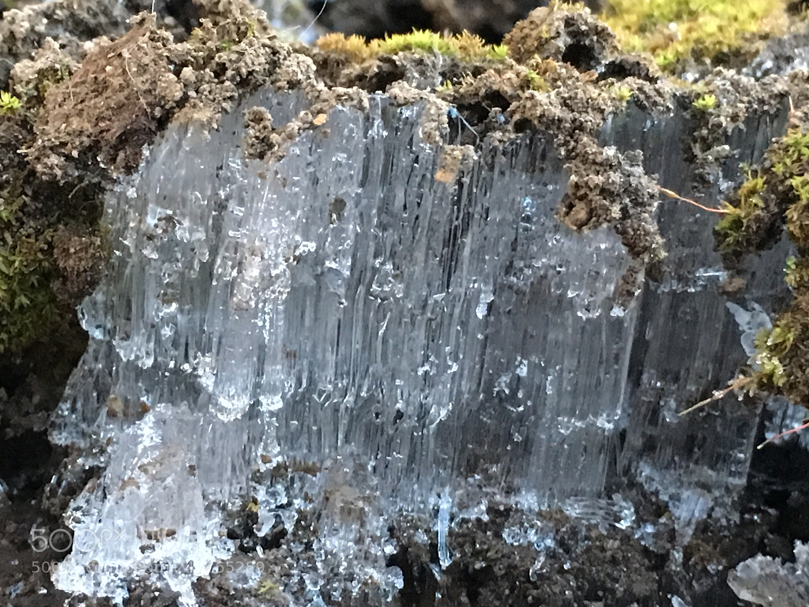 Apple iPhone 6s Plus sample photo. Winter2017 flostcolumn photography
