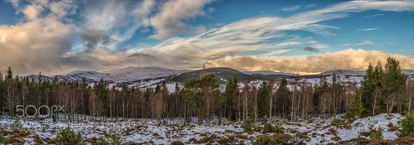 Canon EOS 6D Mark II sample photo. Balmoral estate photography
