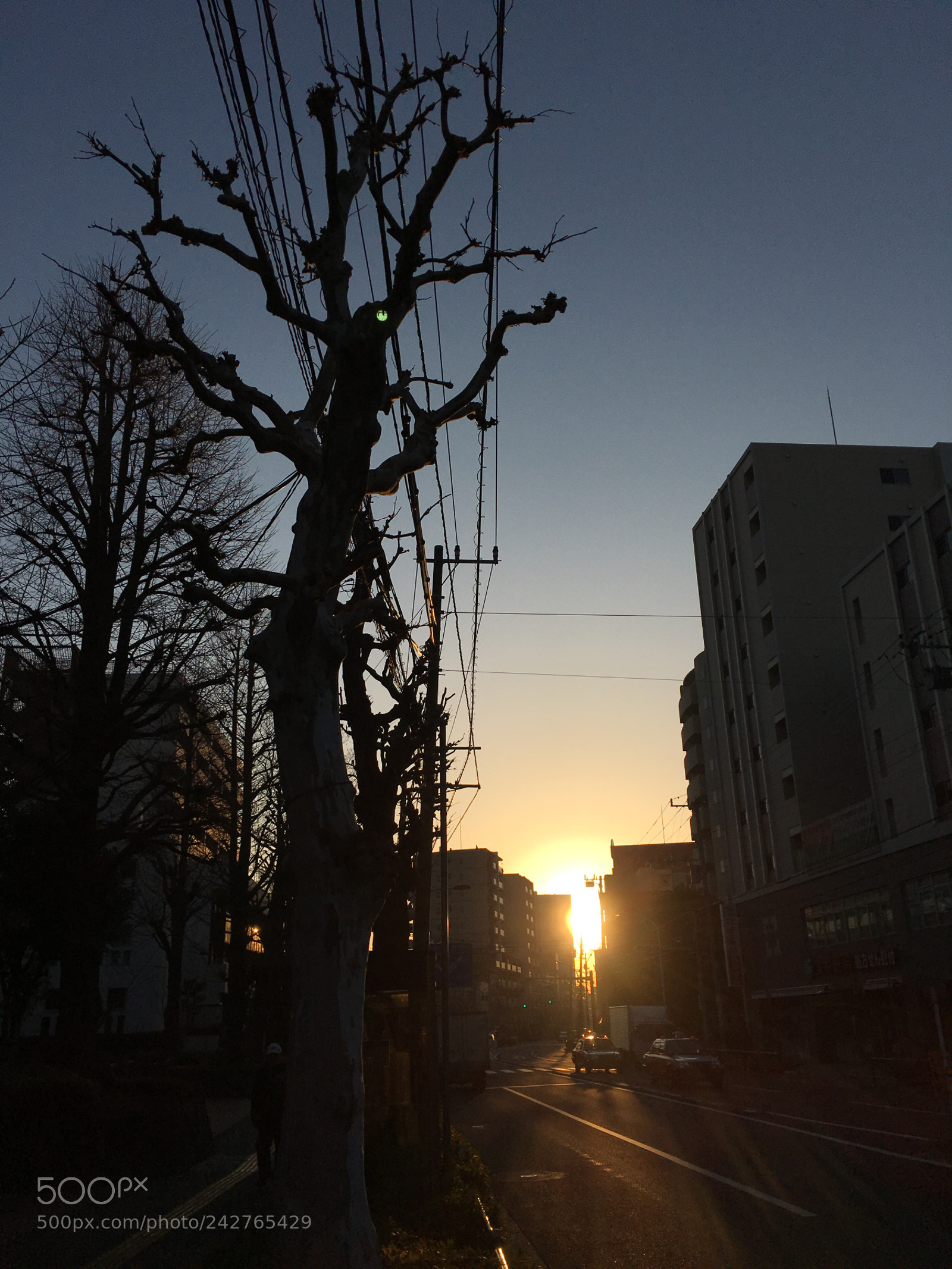 Apple iPhone 6s Plus sample photo. Winter2017 sky sunrise photography