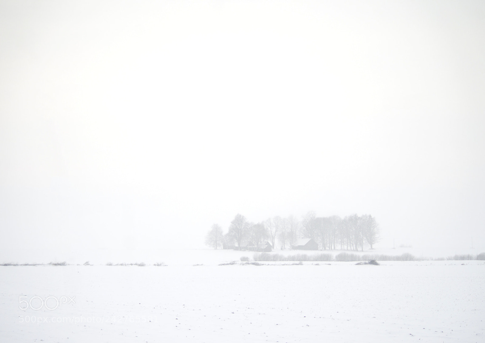 Pentax K-30 sample photo. White life photography
