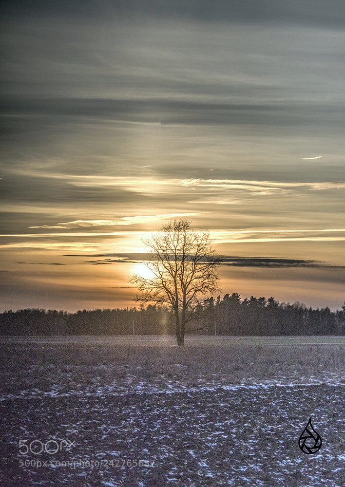 Pentax K-30 sample photo. Caught an evening photography