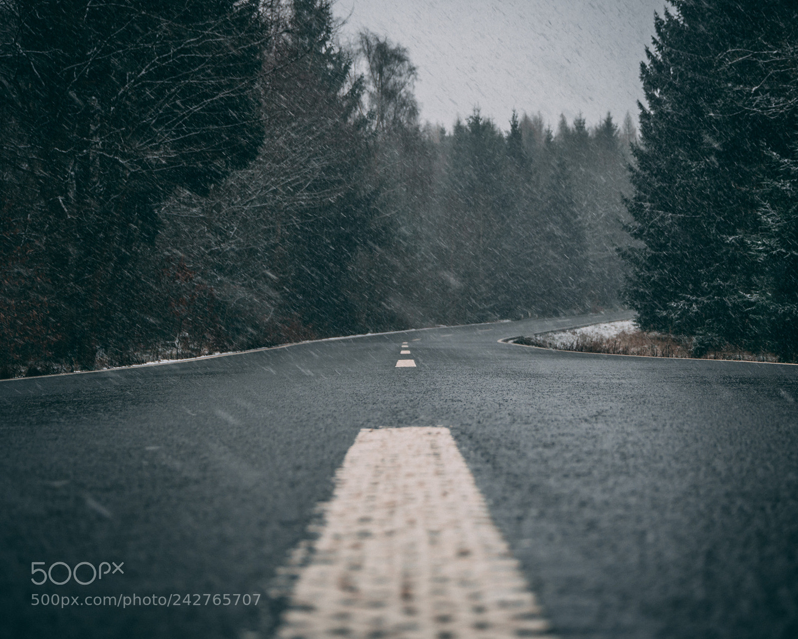 Olympus OM-D E-M10 II sample photo. Lonely road, harz national photography