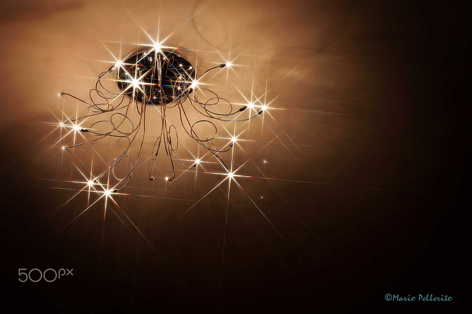 Canon EOS 60D sample photo. A strange jellyfish... photography