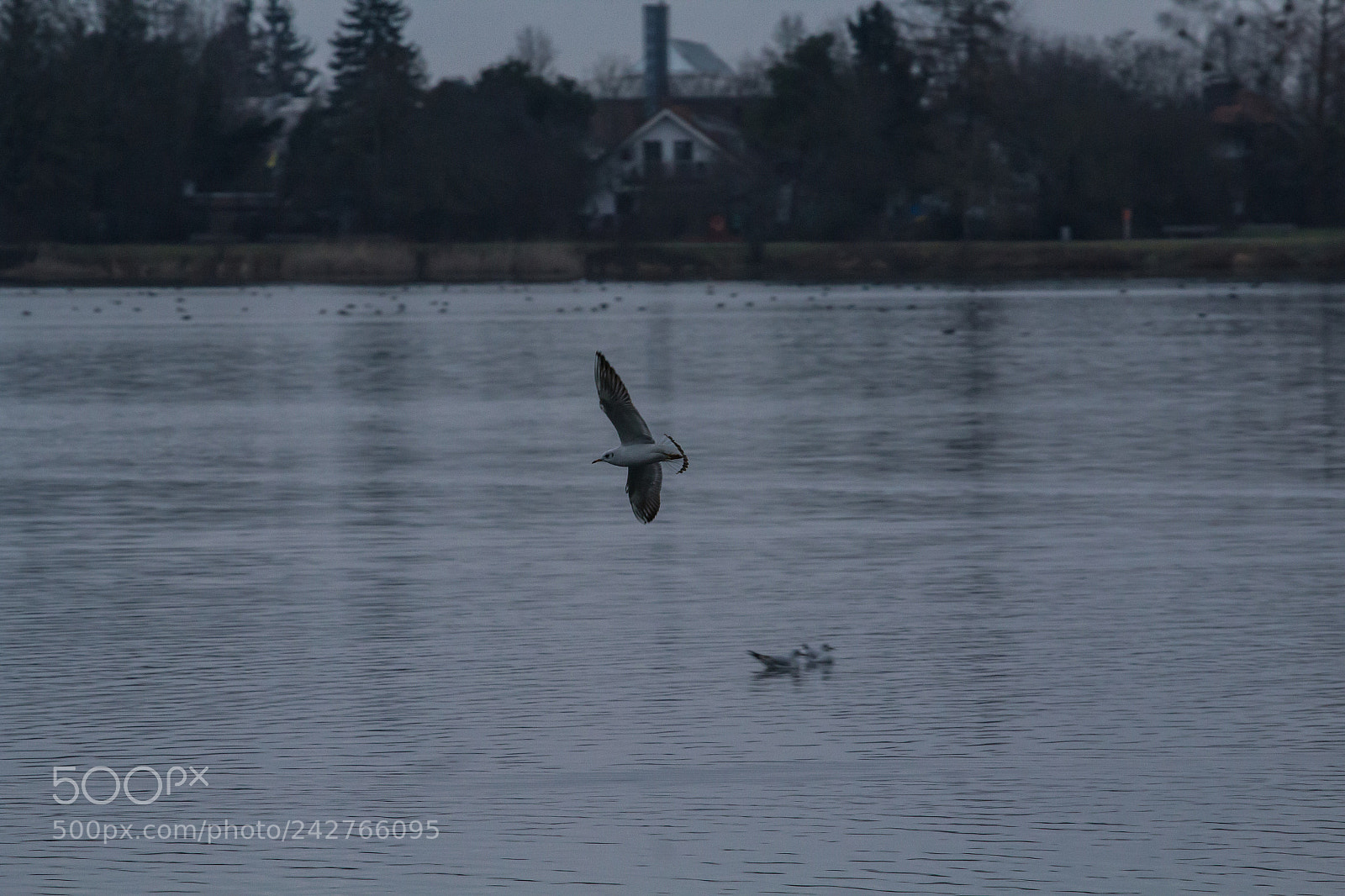 Canon EOS 1200D (EOS Rebel T5 / EOS Kiss X70 / EOS Hi) sample photo. Flight photography