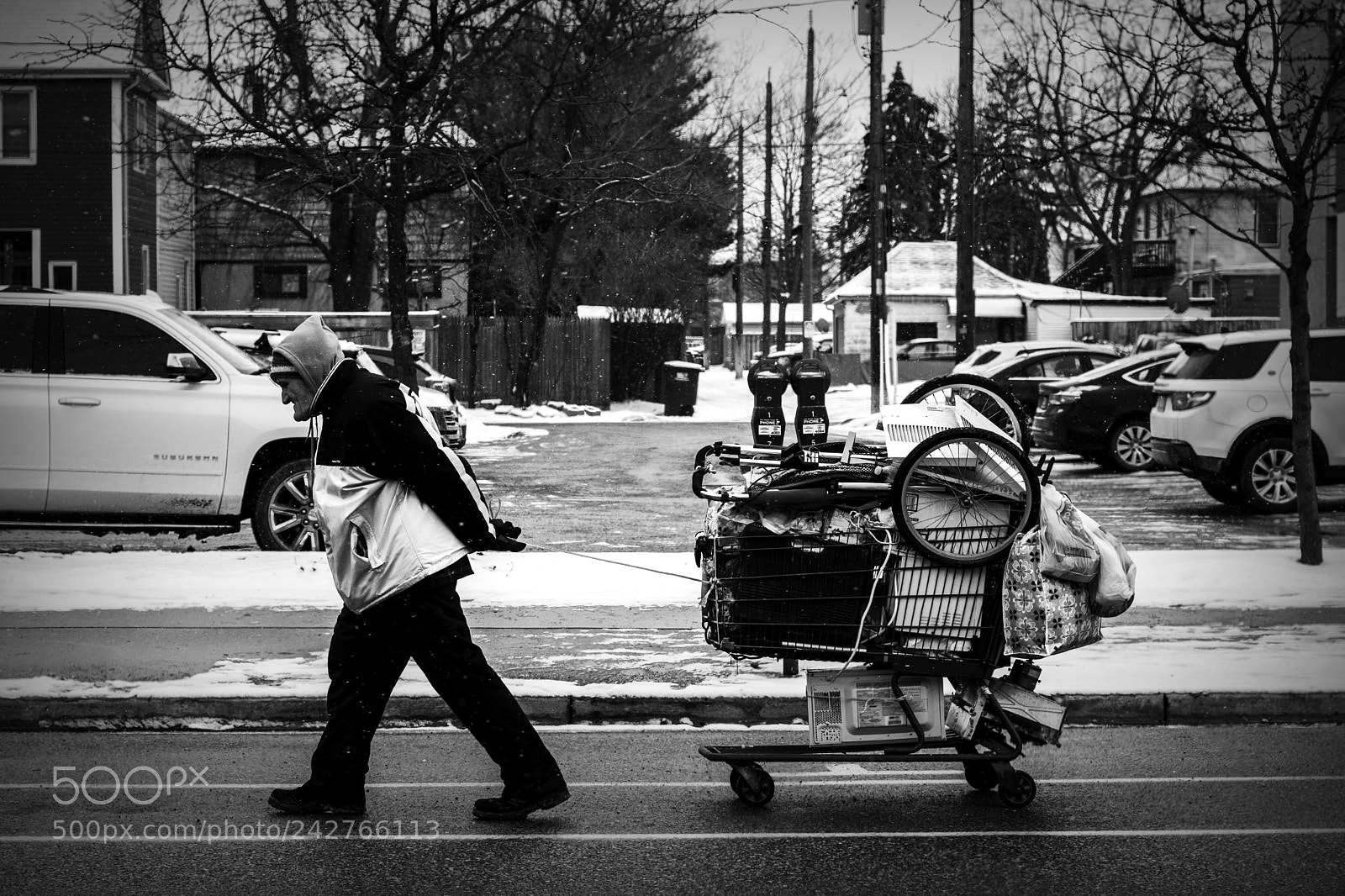 Nikon D500 sample photo. One man's burden. windsor photography