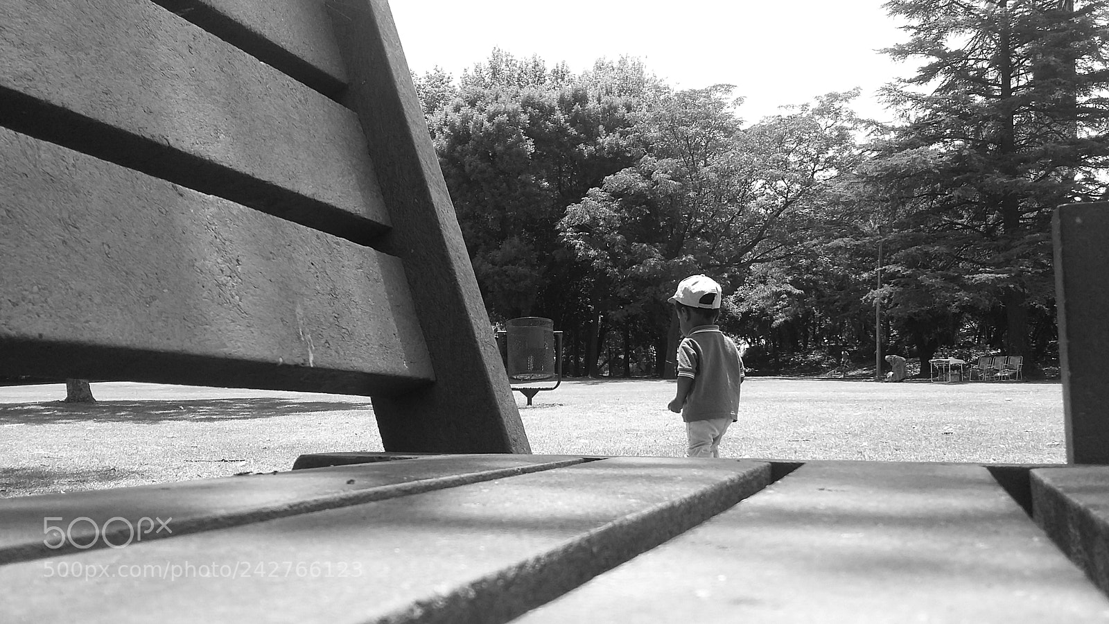 Samsung Galaxy A3 sample photo. Untitled photography
