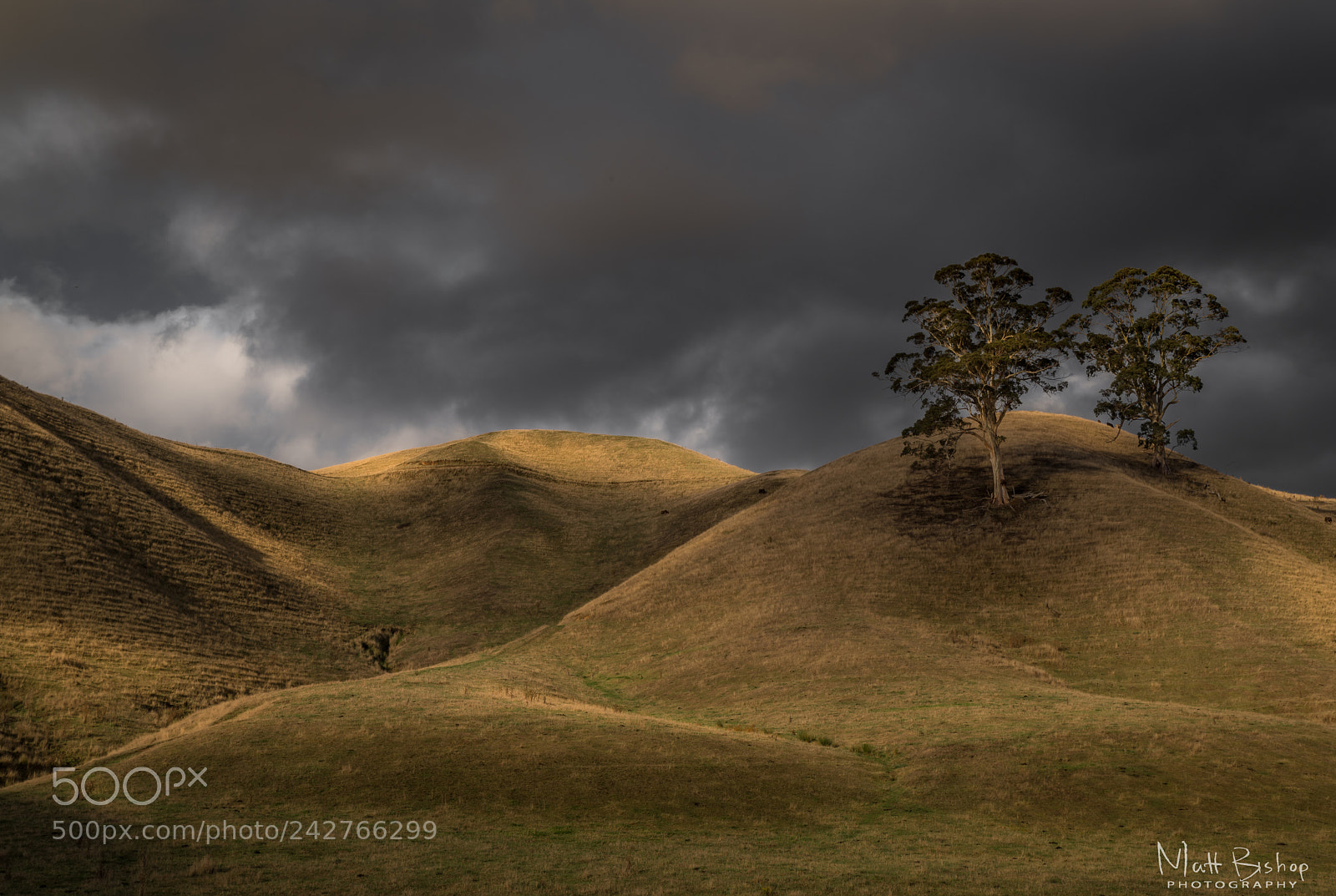 Pentax K-1 sample photo. Hills of grace photography