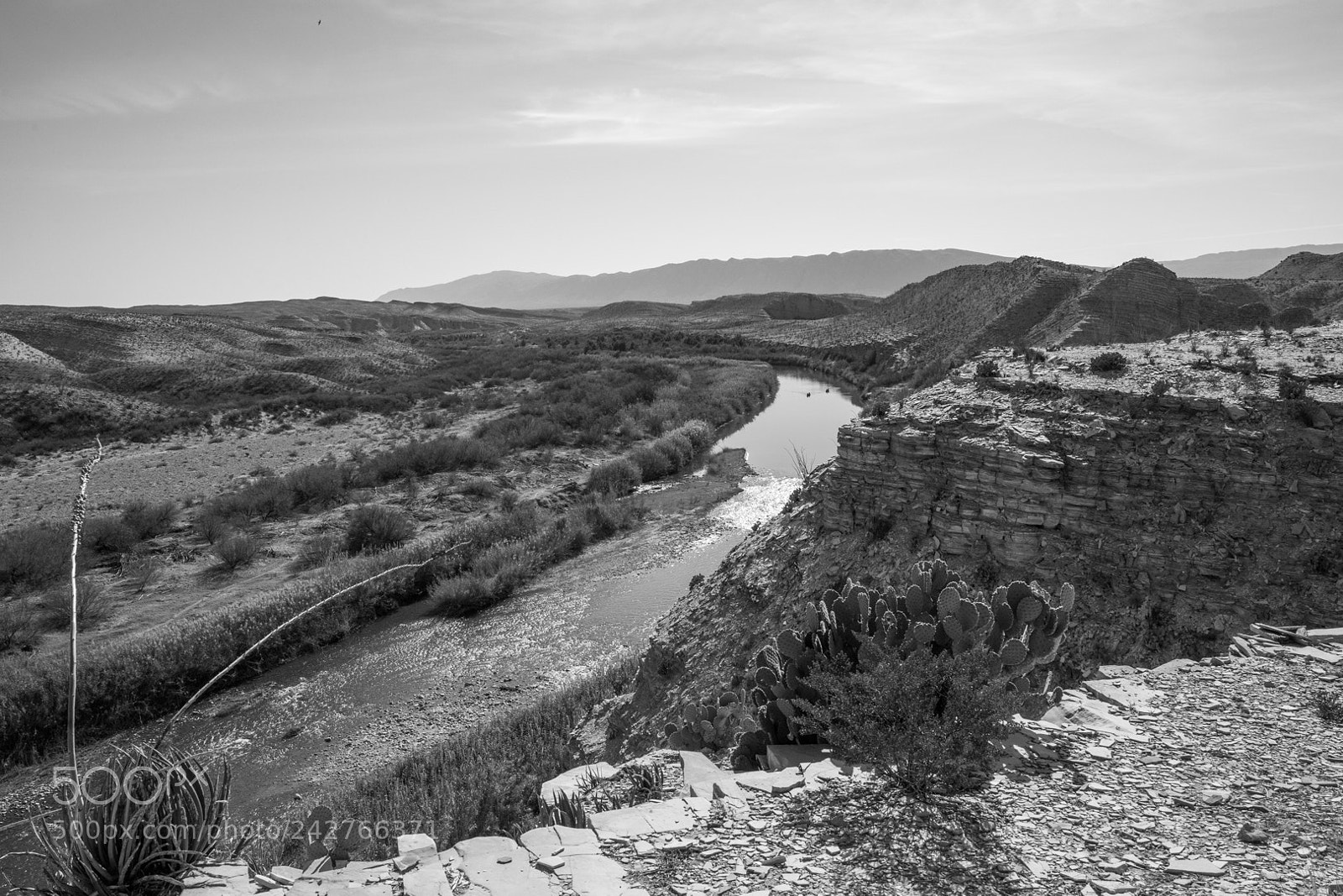 Sony a7 II sample photo. Down by the river photography