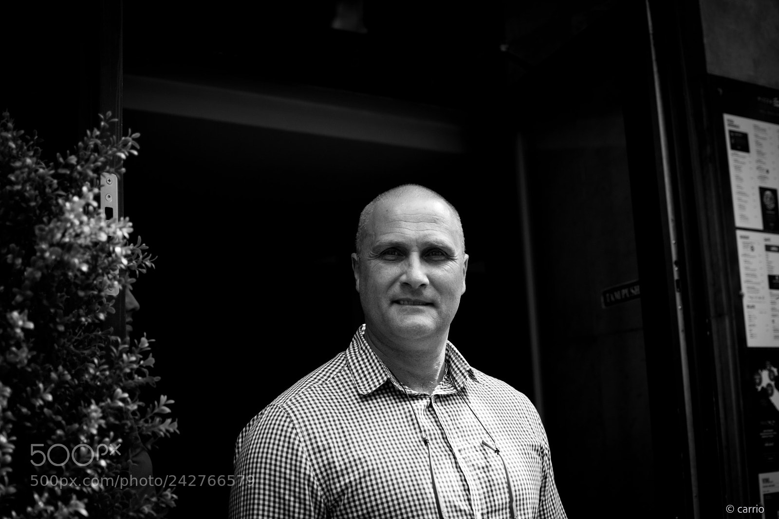 Nikon D5500 sample photo. Host photography