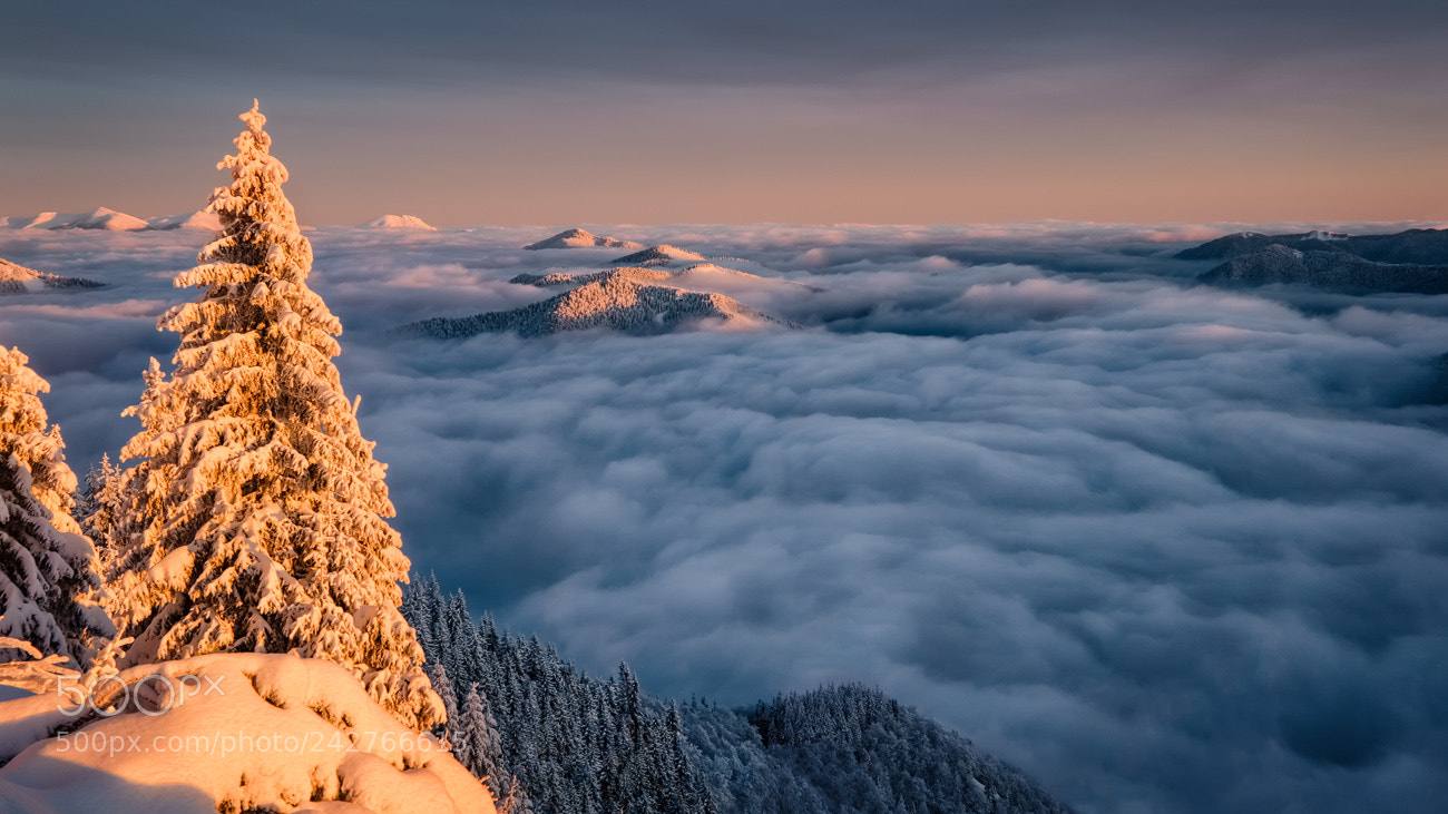 Fujifilm X-T20 sample photo. Velka fatra inversion photography