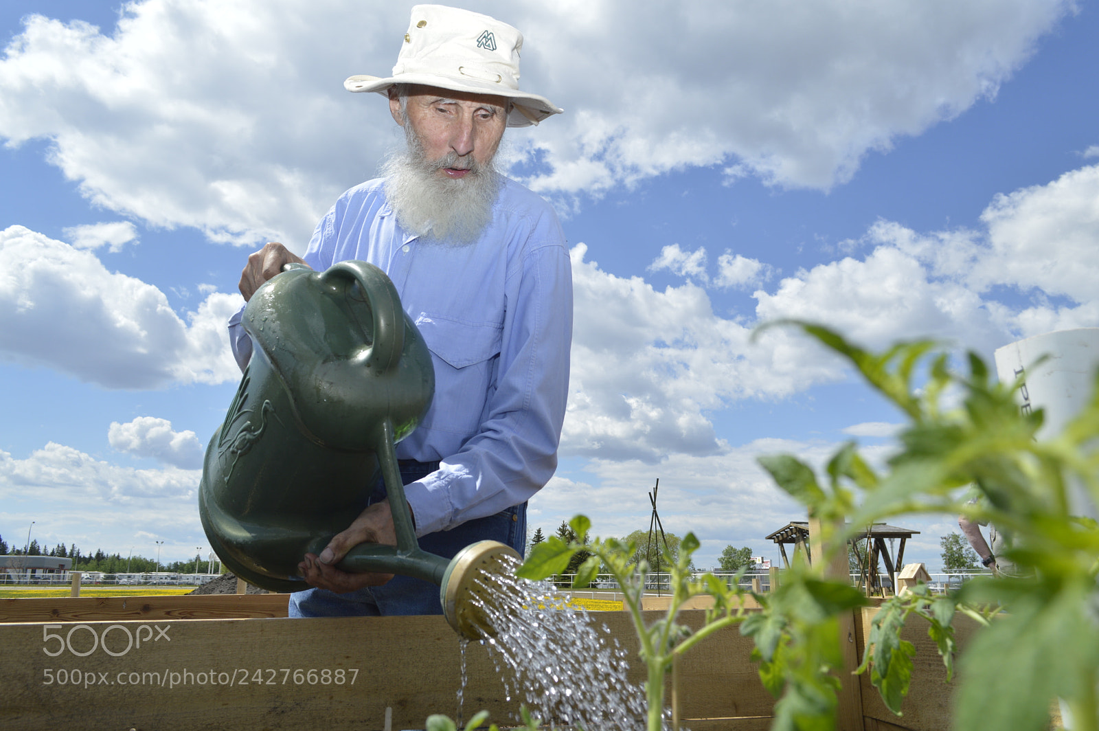 Nikon D3200 sample photo. Watering photography