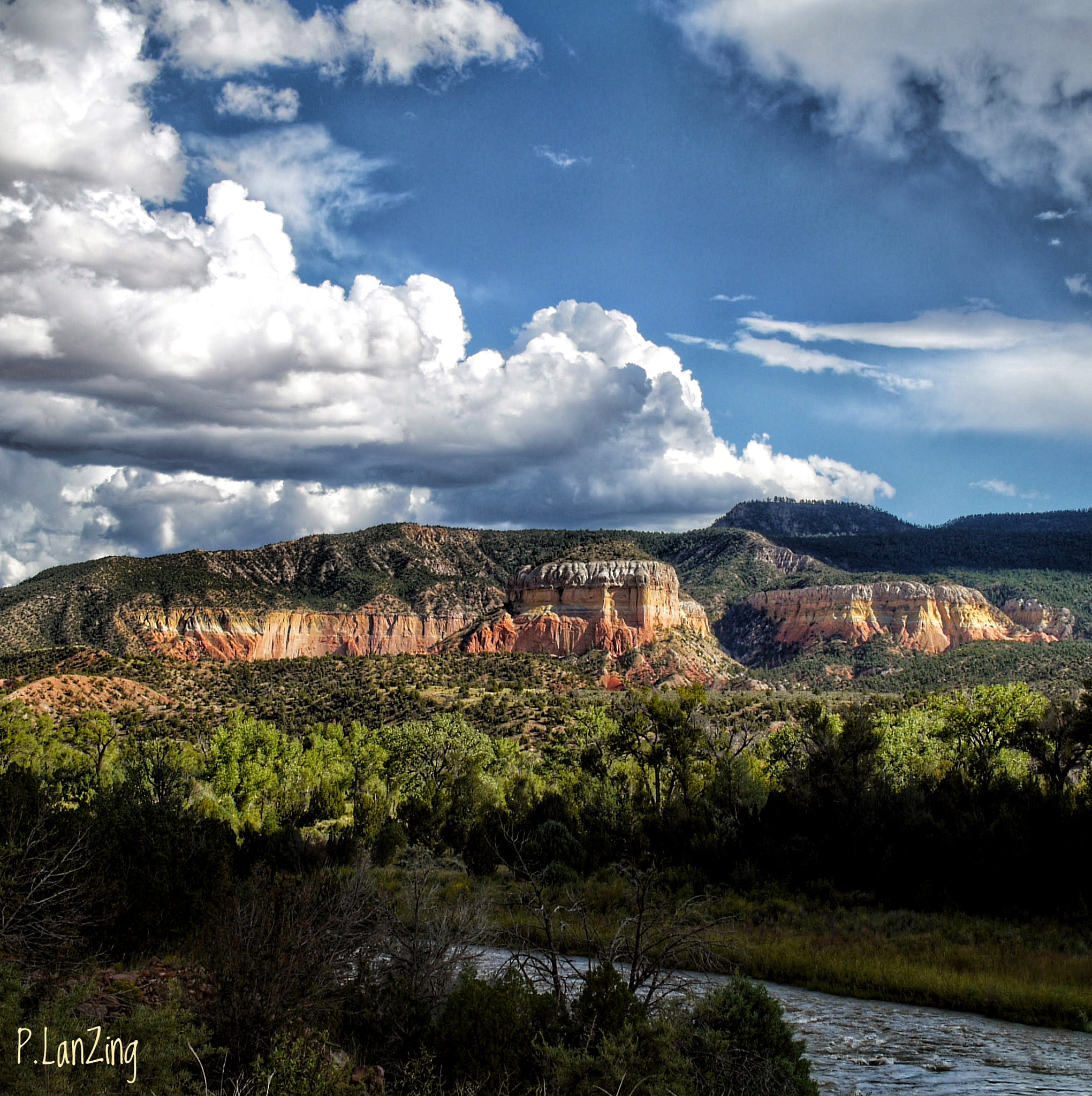 Panasonic Lumix DMC-L1 sample photo. Along rio chama, new mexico photography