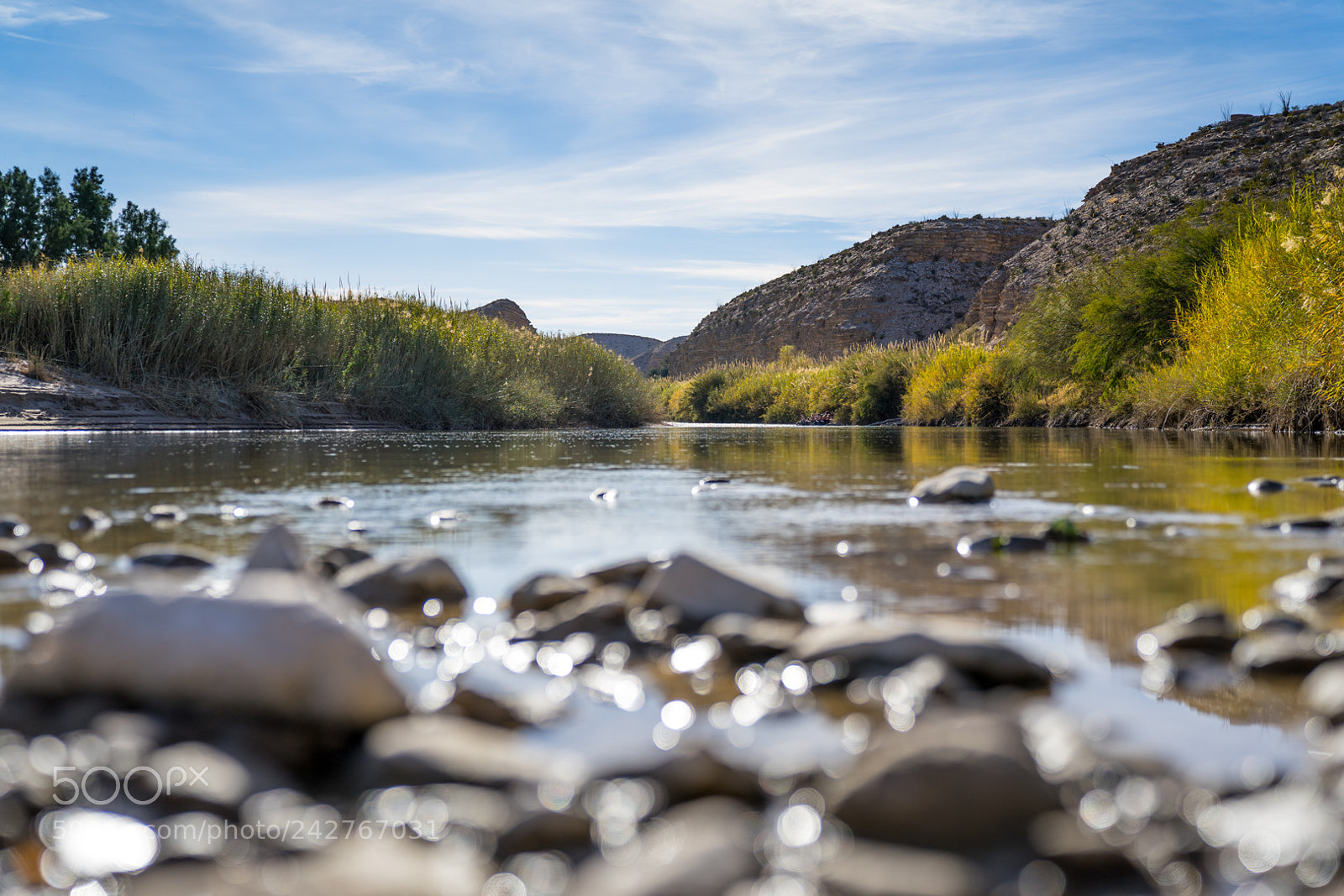 Sony a7 II sample photo. Dsc photography