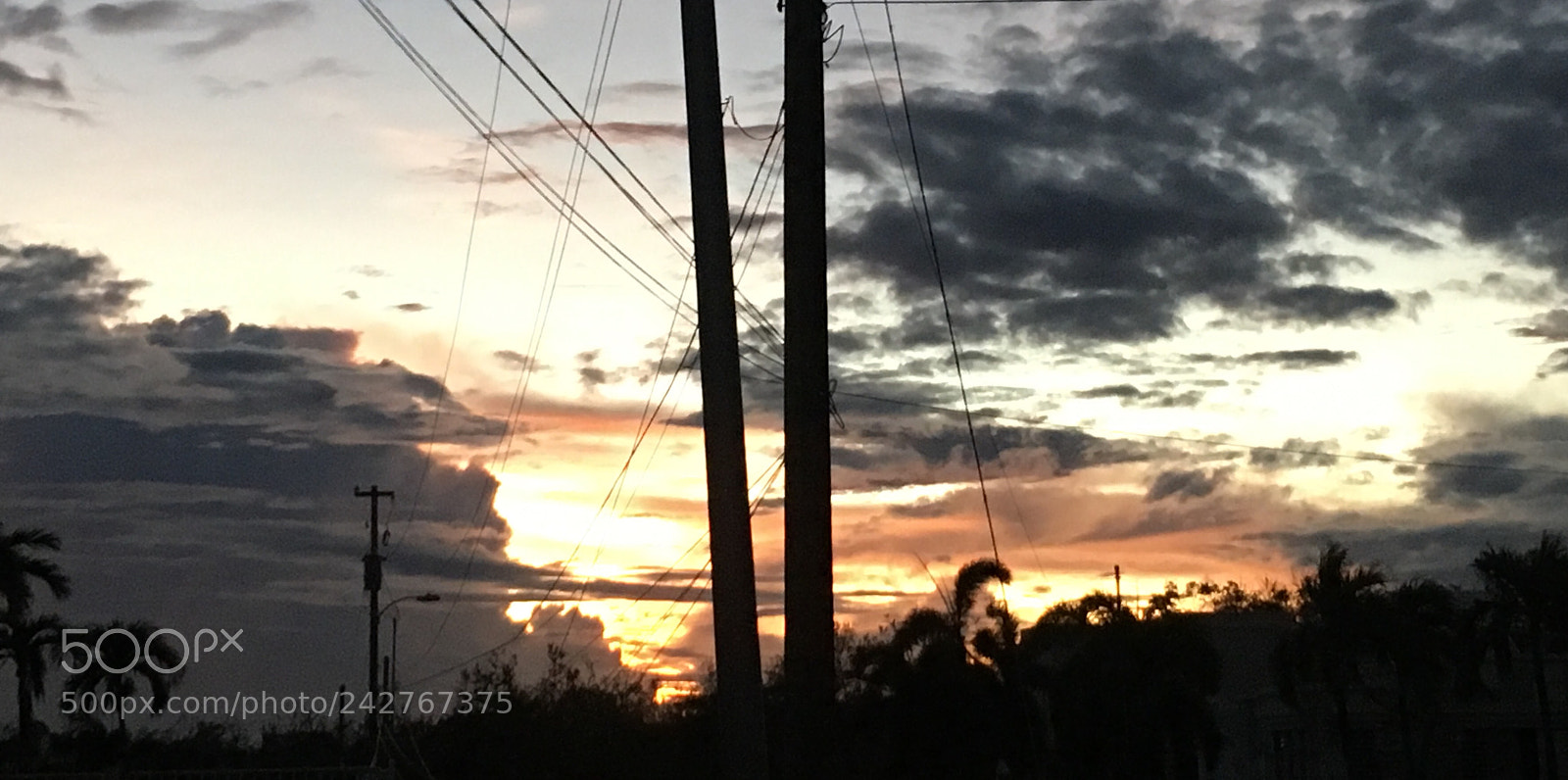 Apple iPhone SE sample photo. Untitled photography