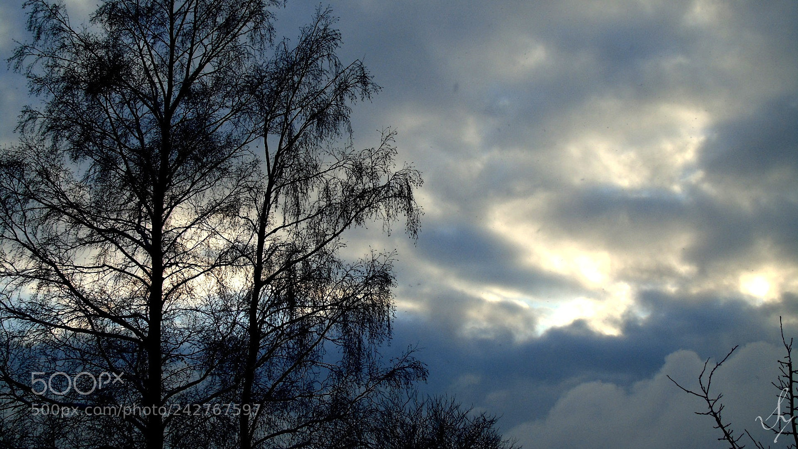 Sony Cyber-shot DSC-H400 sample photo. Untitled photography