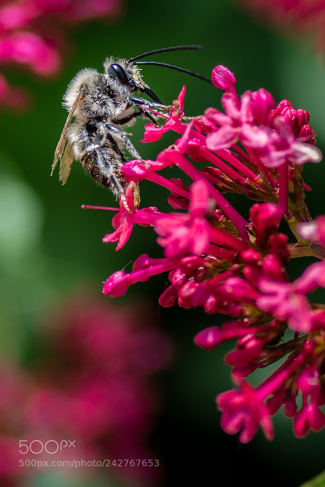 Nikon D800 sample photo. Lunch time photography