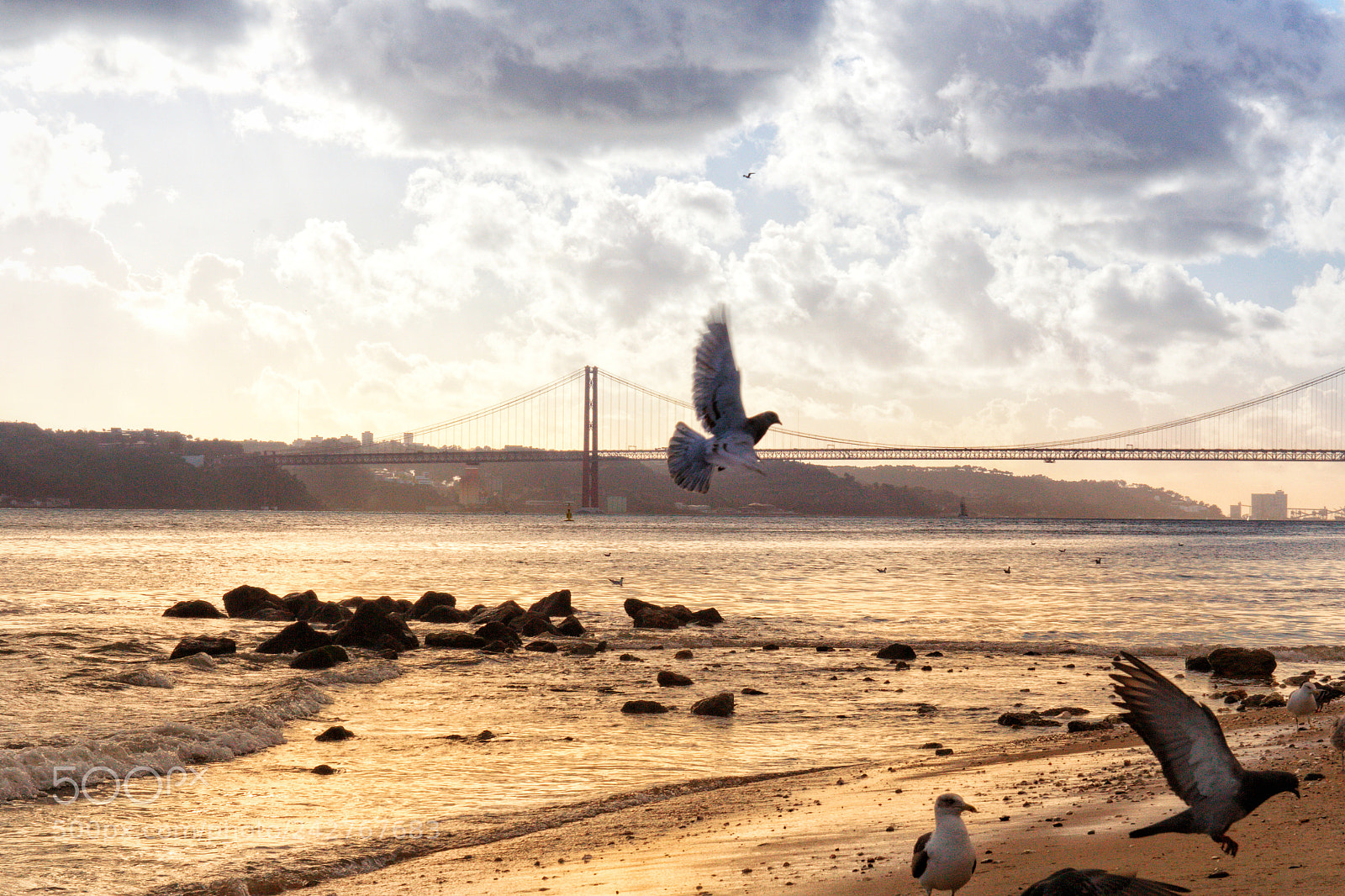 Canon EOS 60D sample photo. Lisbon photography