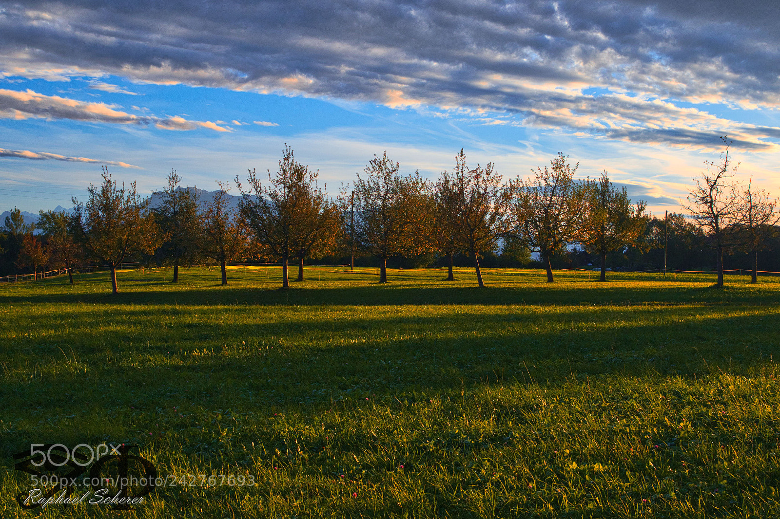 Canon EOS 7D Mark II sample photo. A day in fall photography