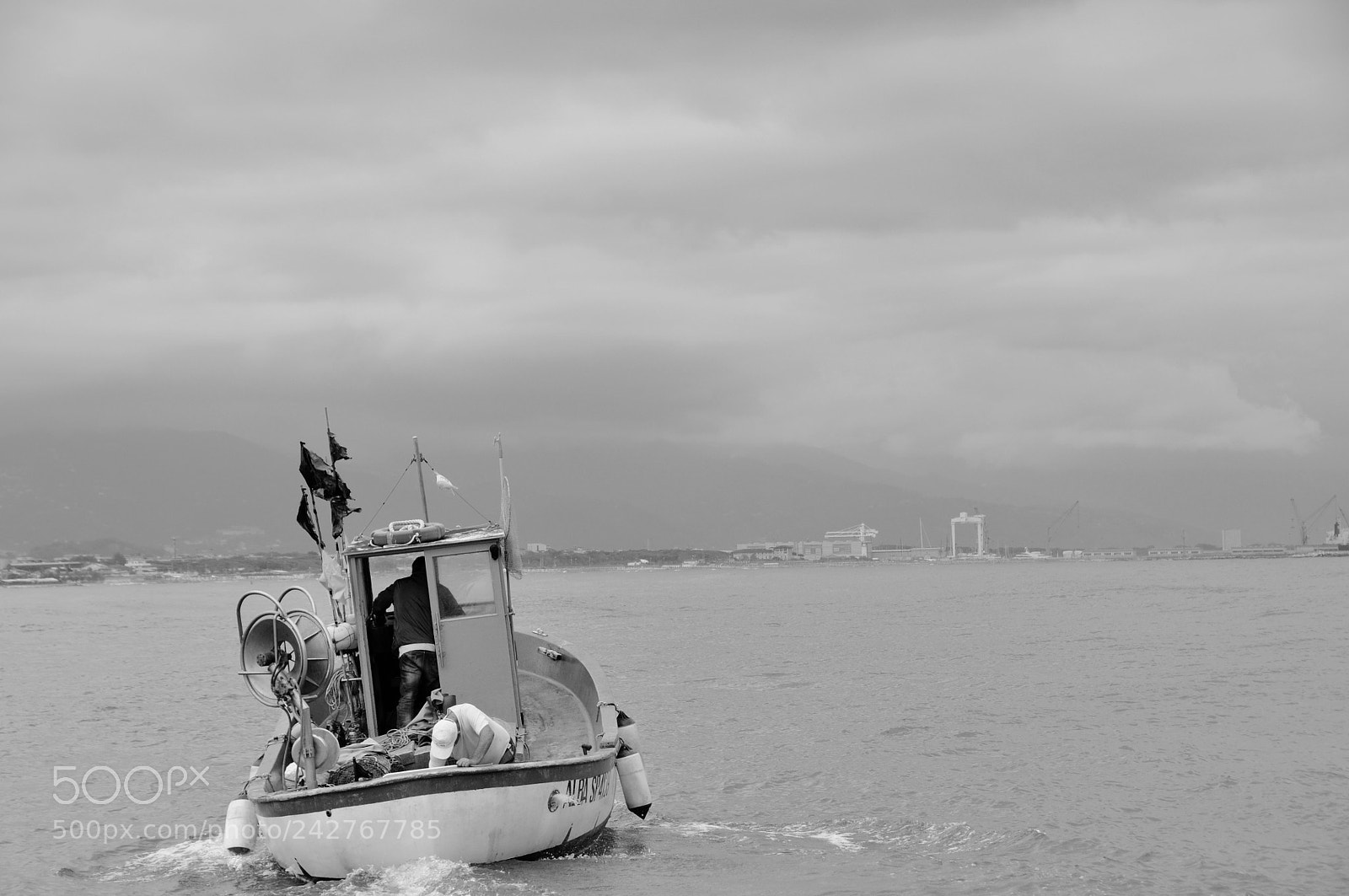 Nikon D90 sample photo. Follow your dreams photography
