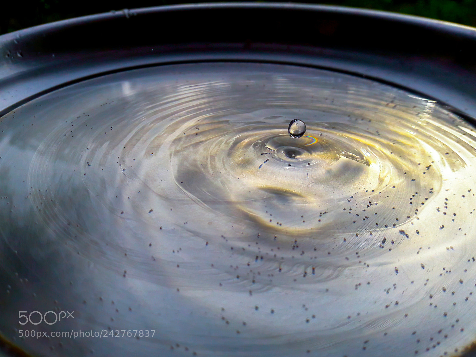 Samsung Galaxy J7 sample photo. Water droplet photography
